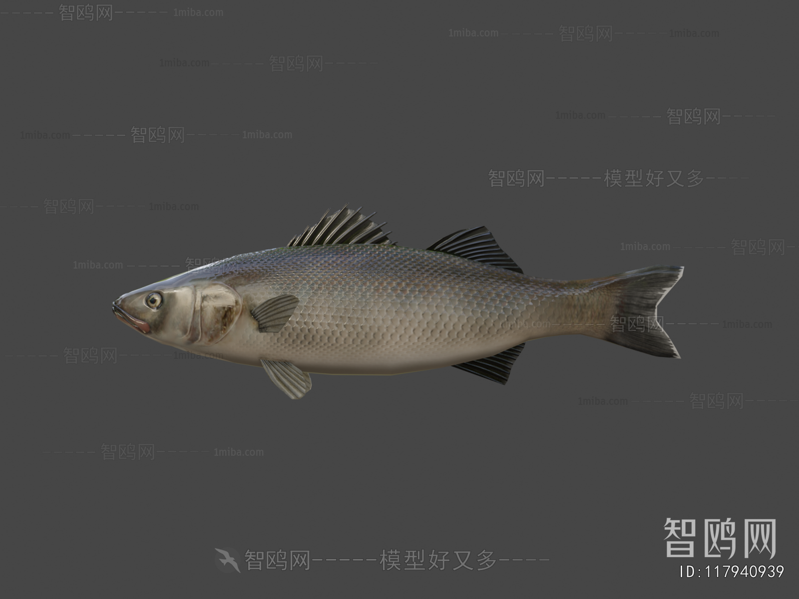 Modern Aquatic Animals