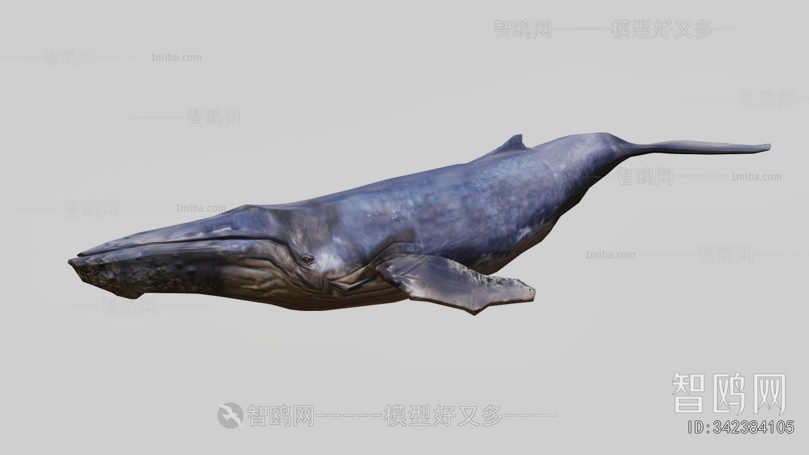 Modern Animal
