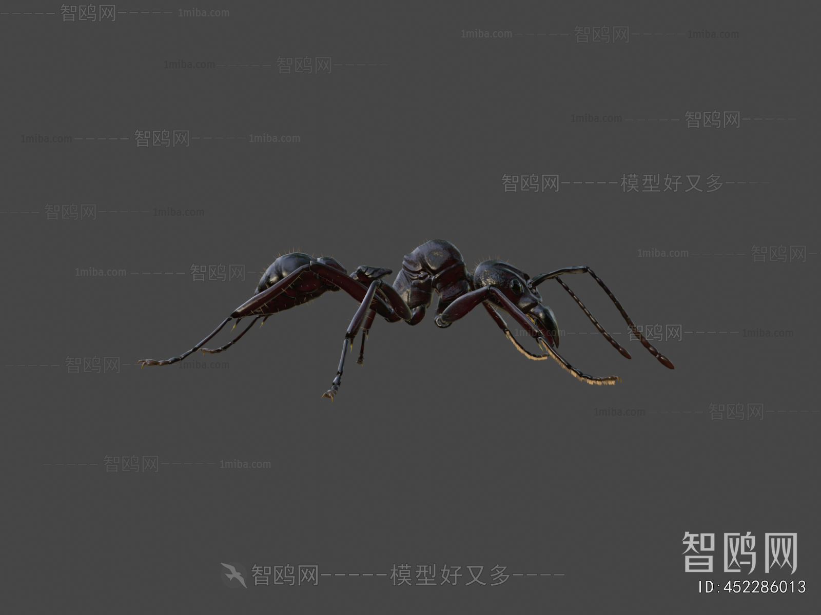 Modern Animal
