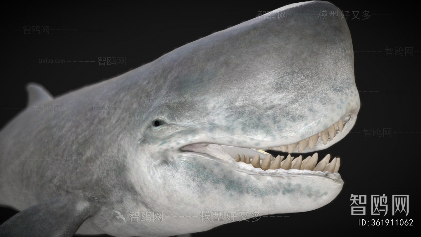 Modern Aquatic Animals