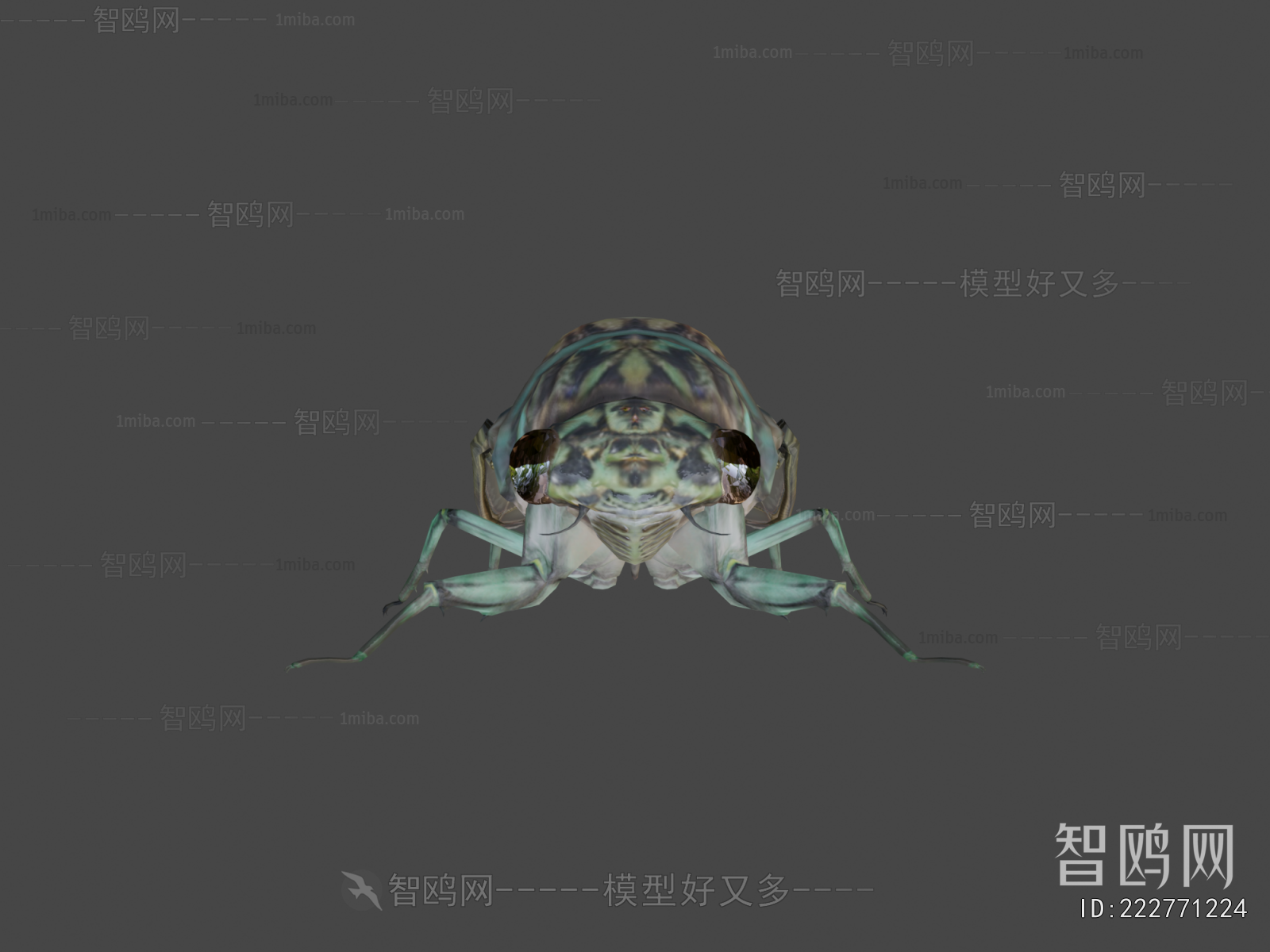 Modern Animal