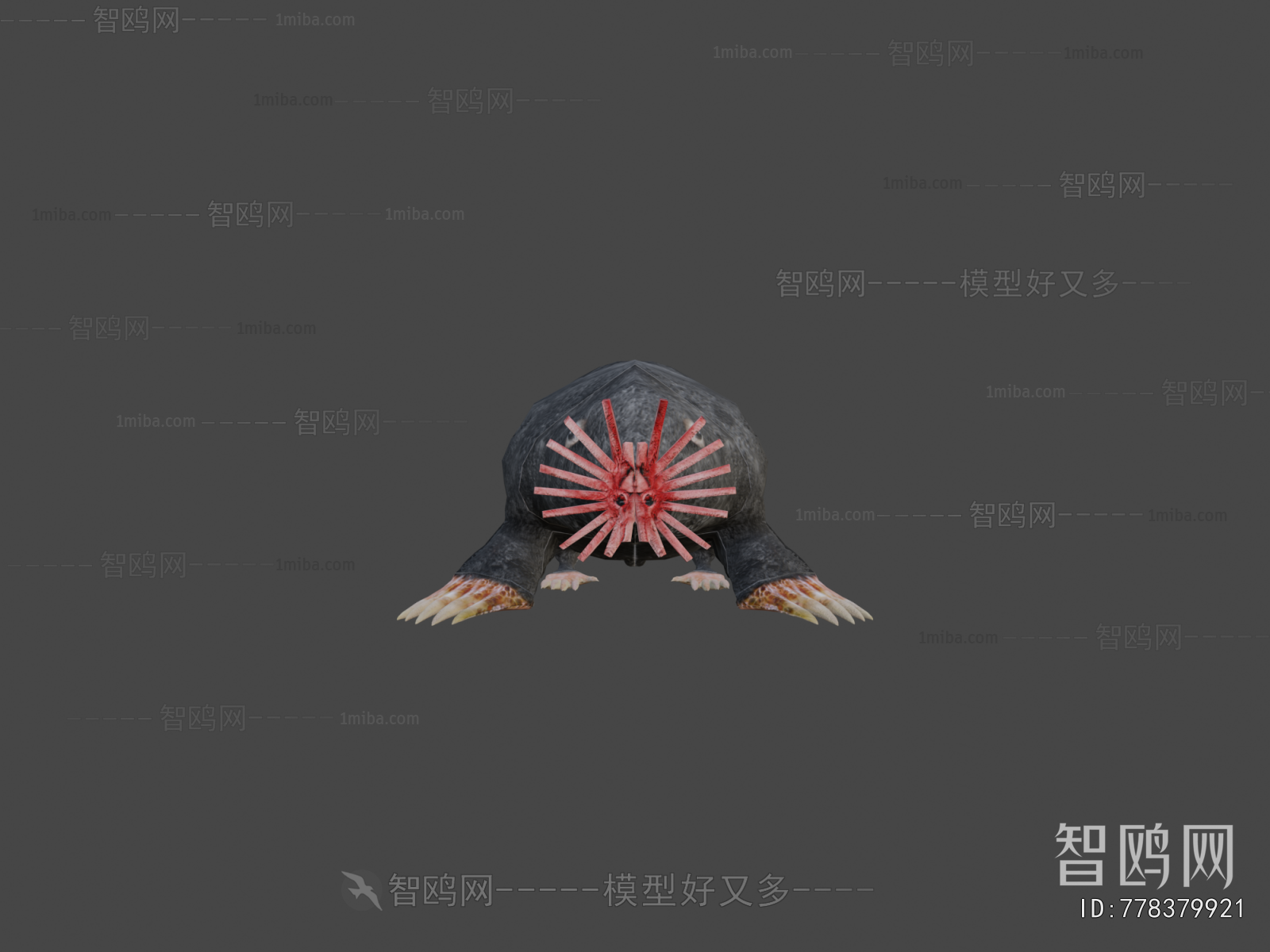 Modern Animal