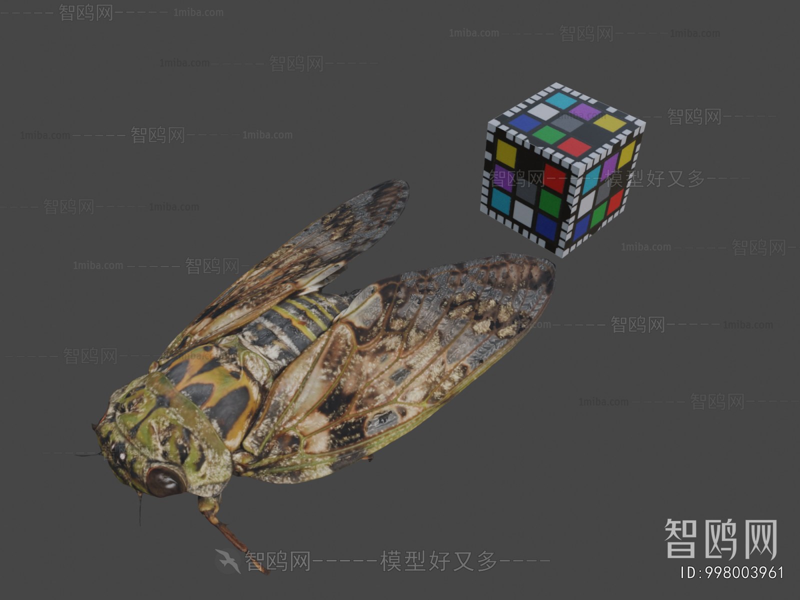 Modern Reptile