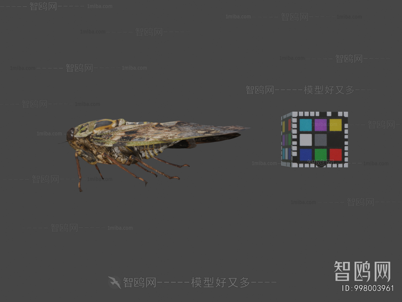 Modern Reptile