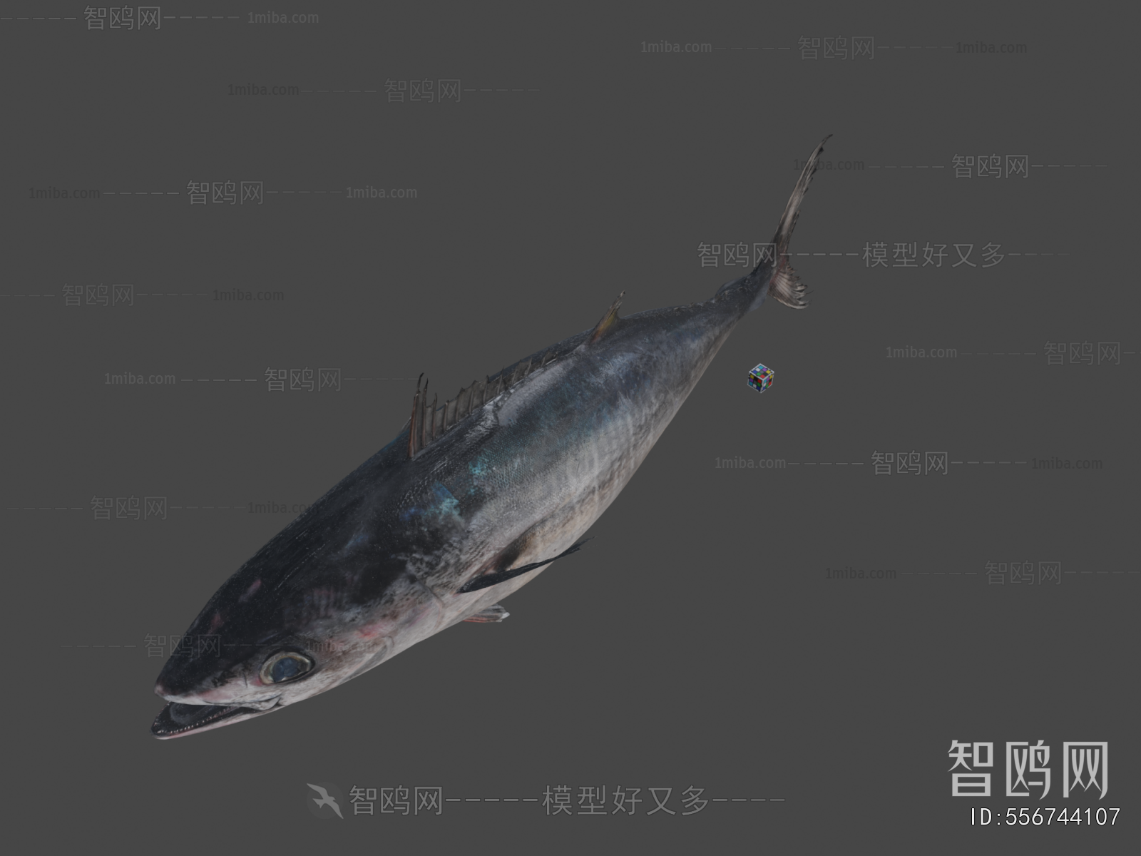 Modern Aquatic Animals