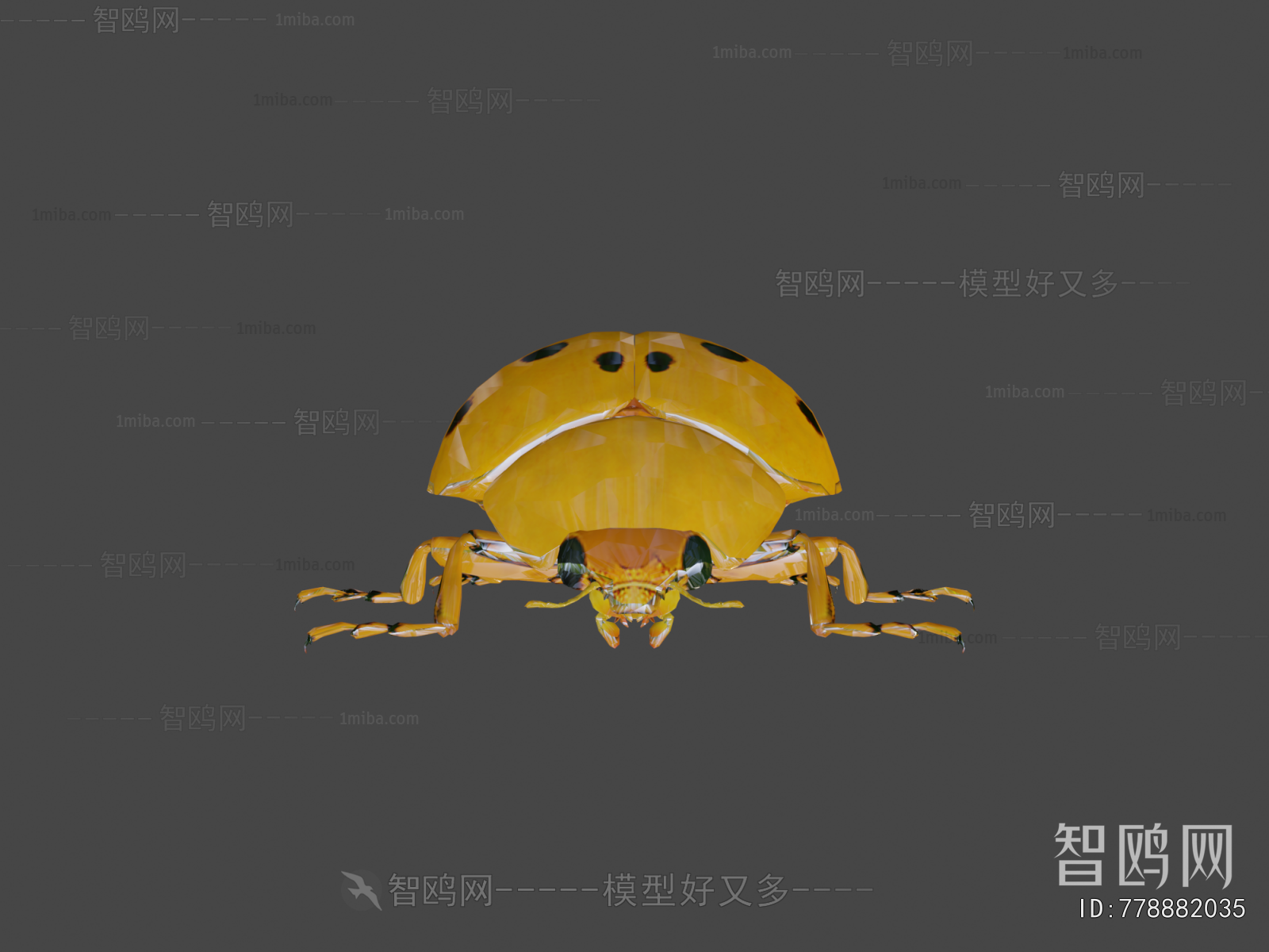Modern Other Animals