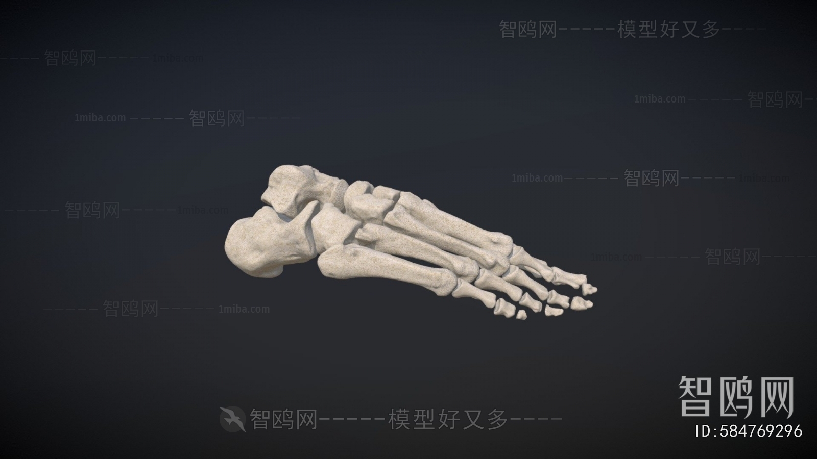 Modern Medical Equipment