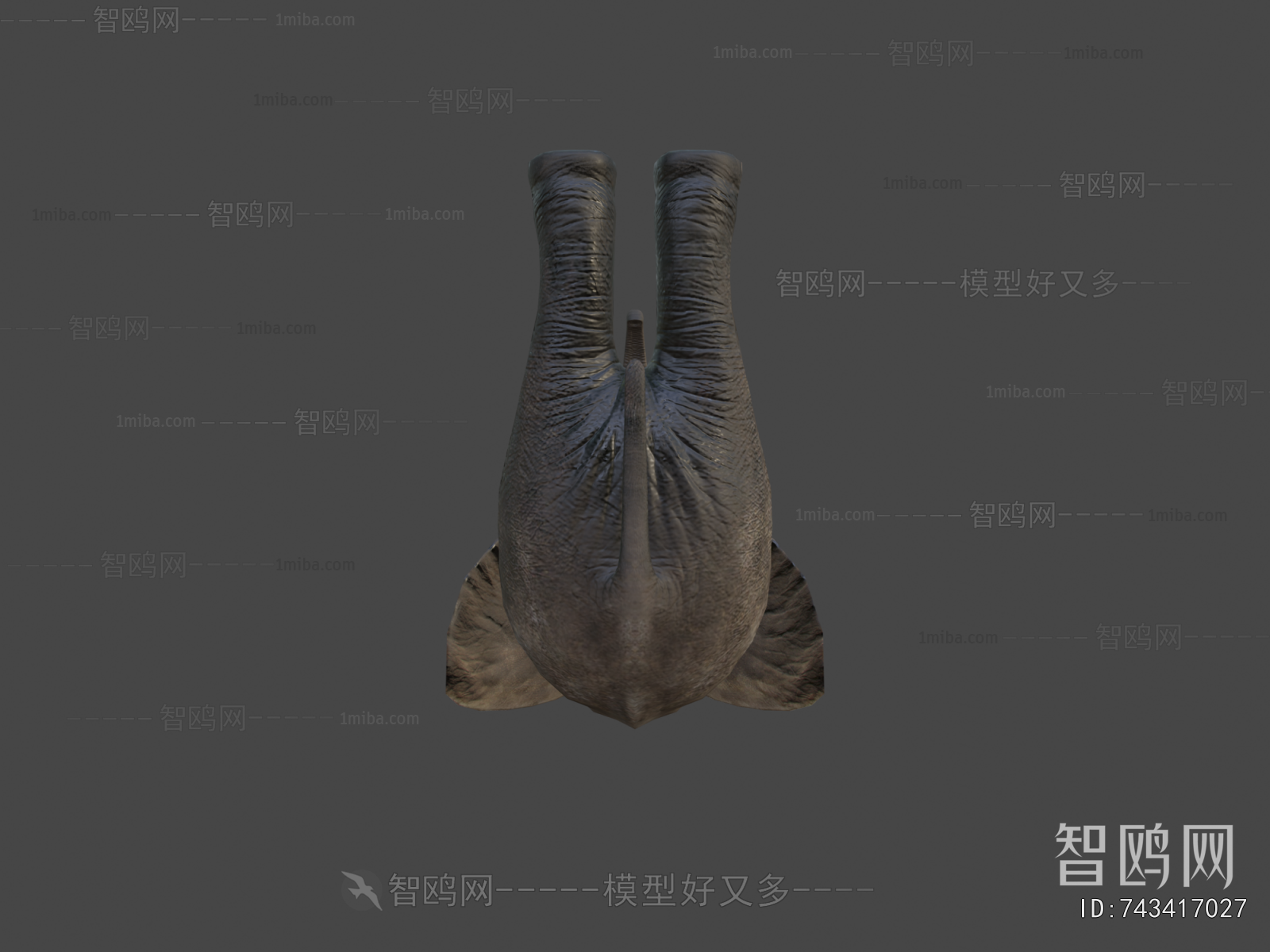 Modern Animal