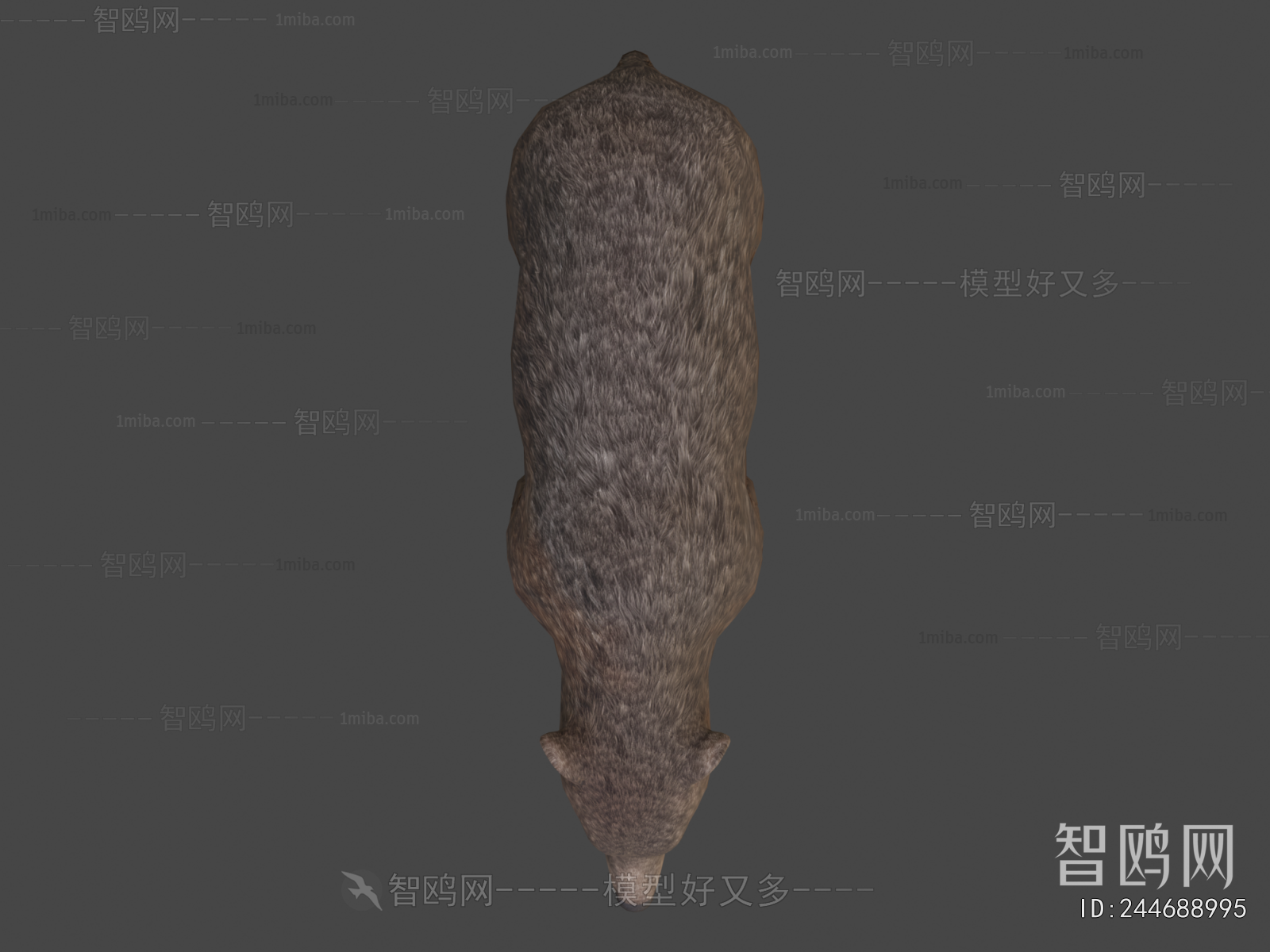 Modern Mammal
