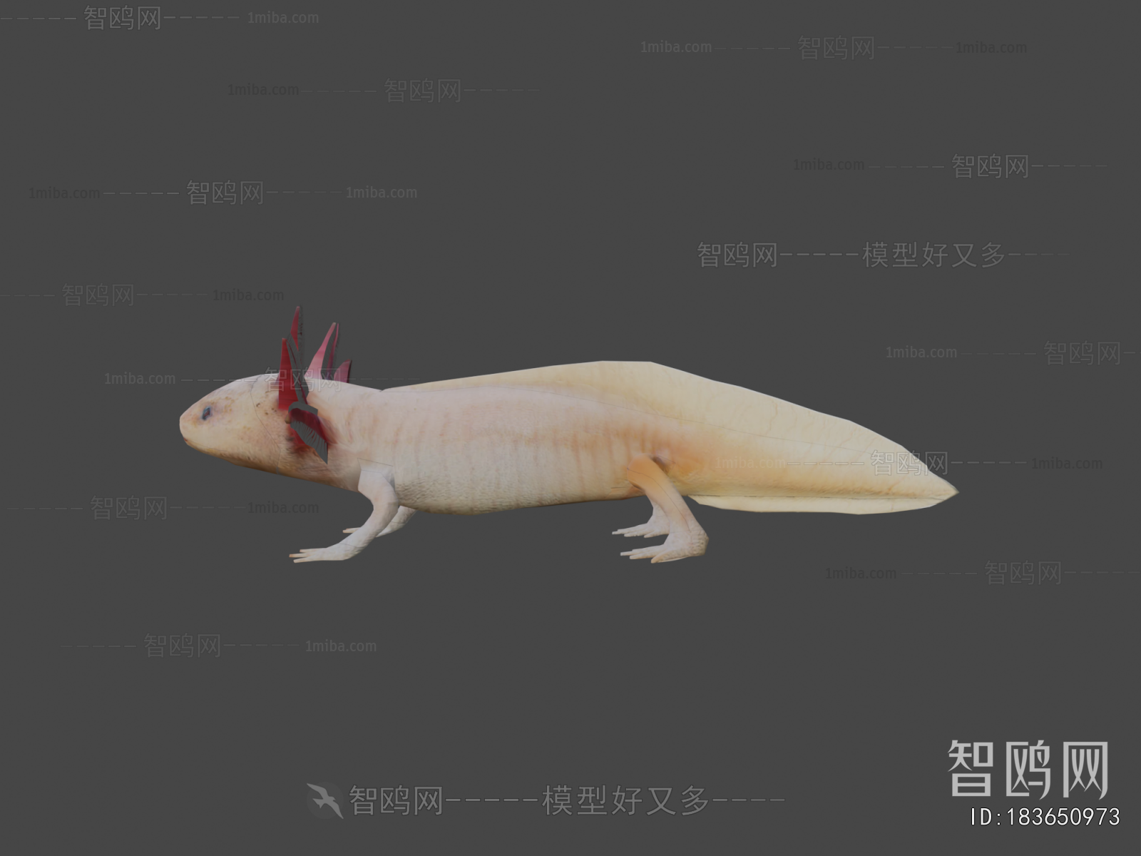 Modern Animal