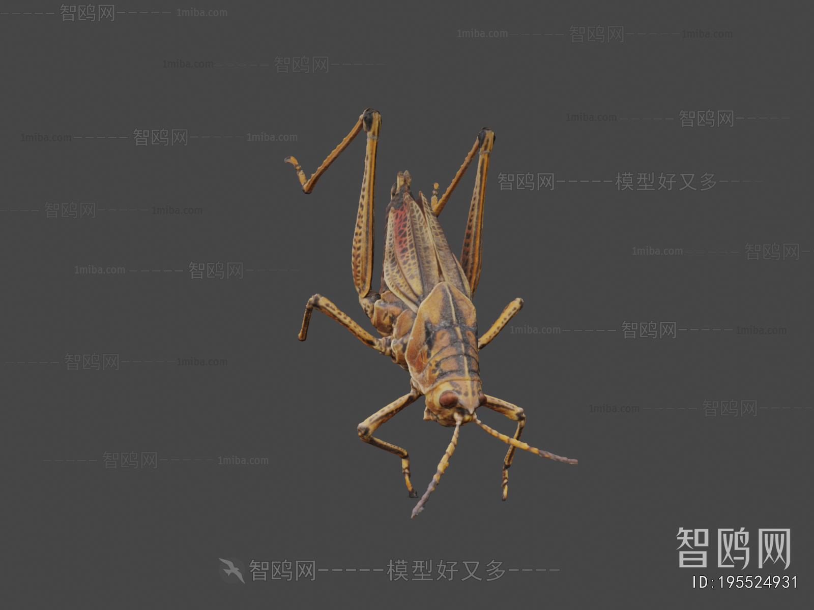 Modern Other Animals