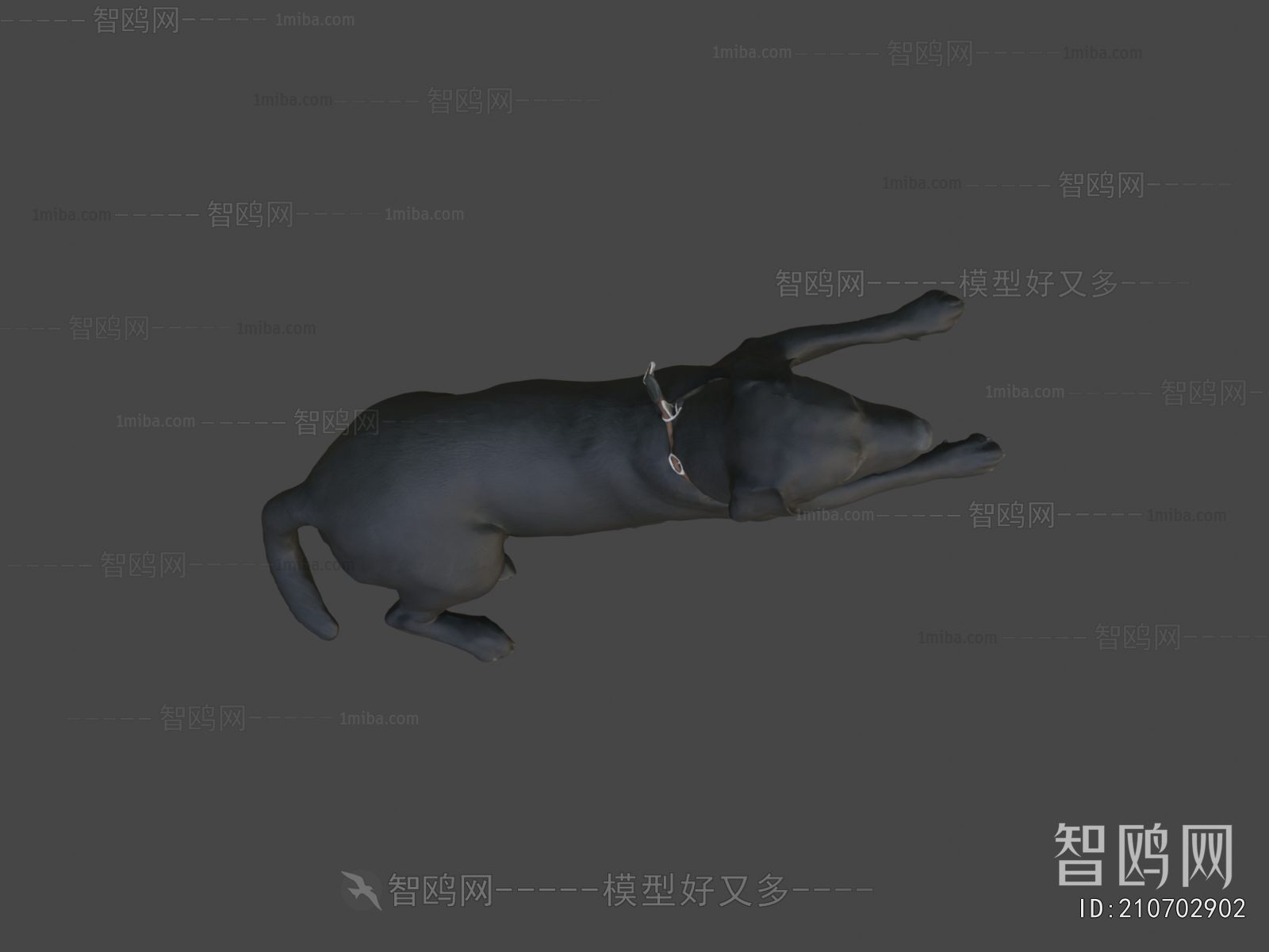 Modern Animal Dog