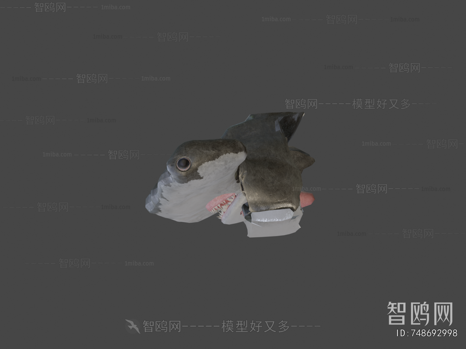Modern Aquatic Animals