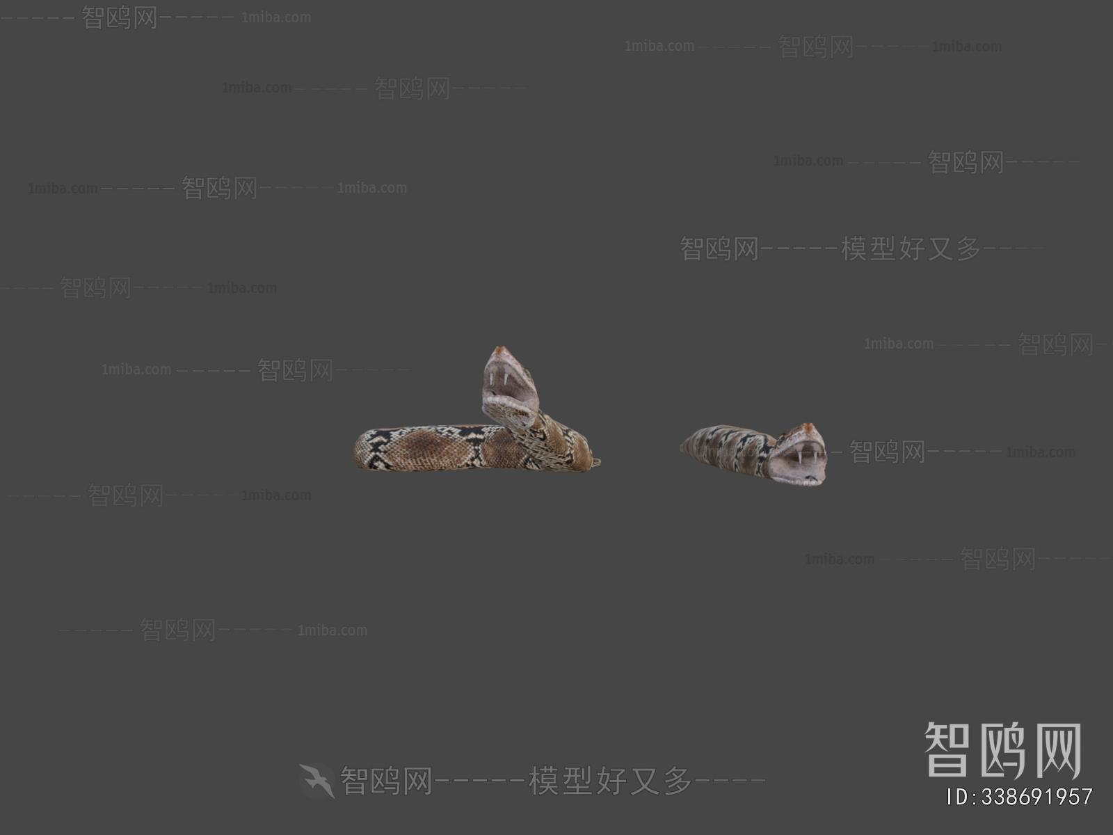 Modern Animal