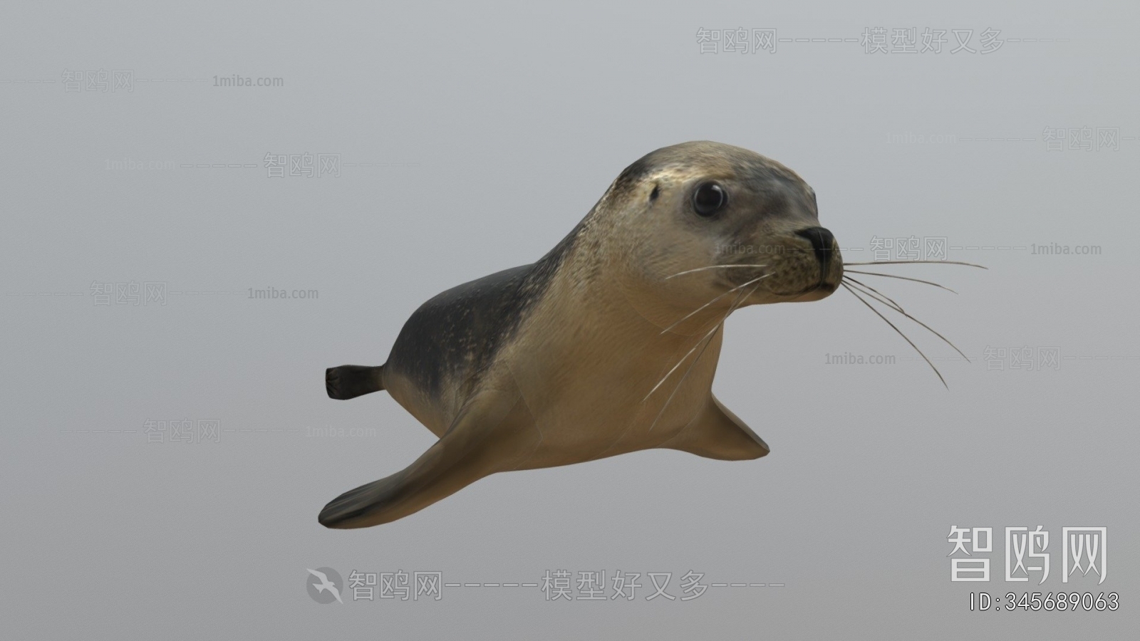 Modern Aquatic Animals