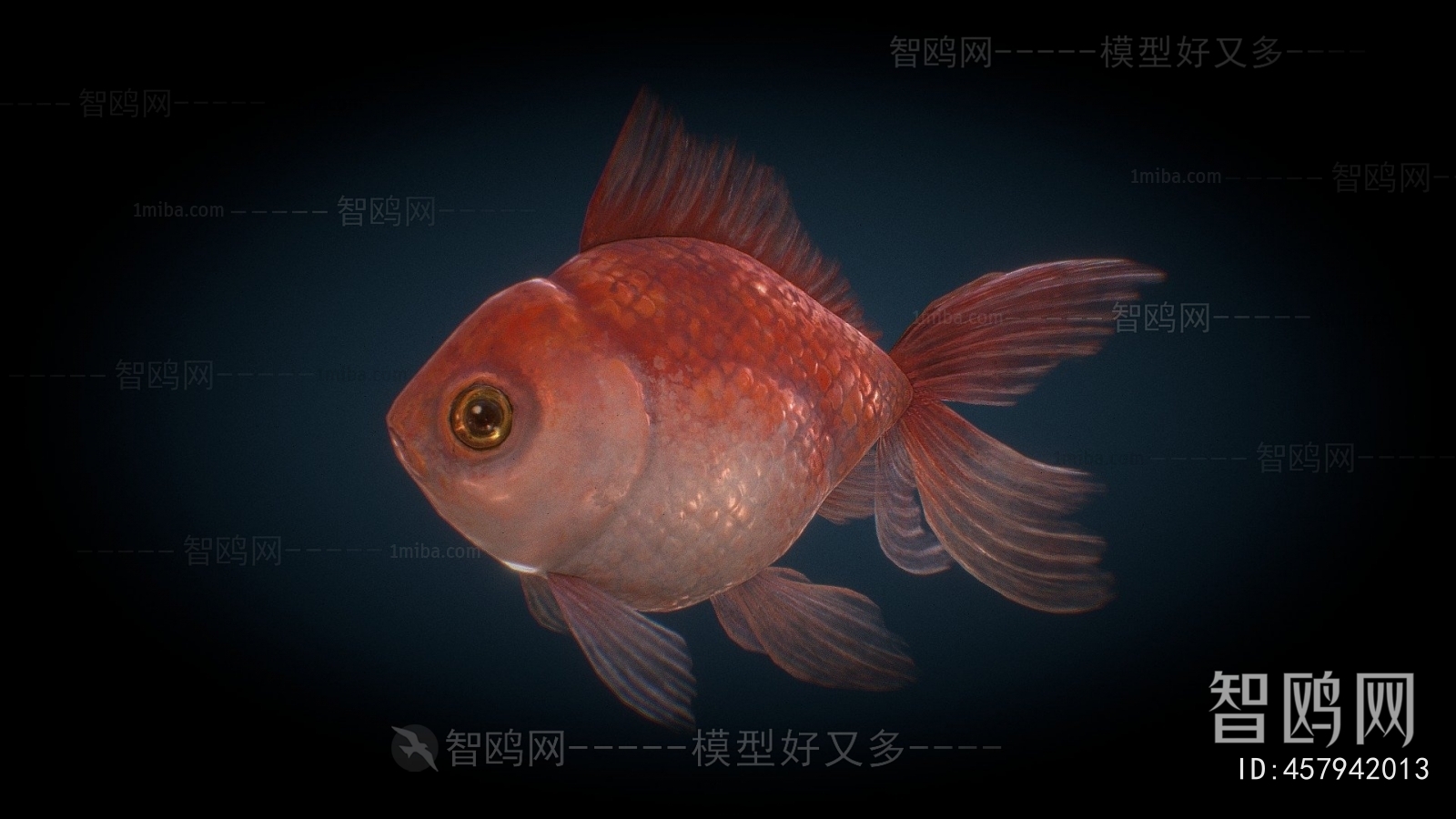 Modern Aquatic Animals