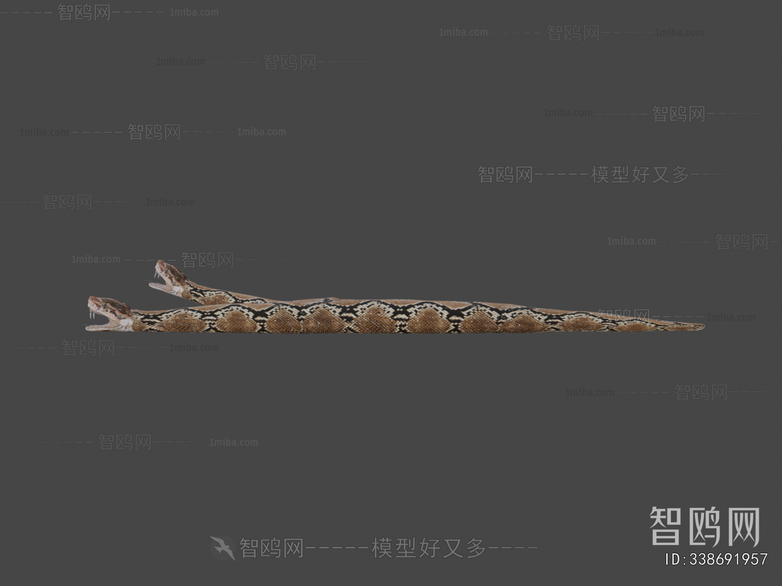 Modern Animal