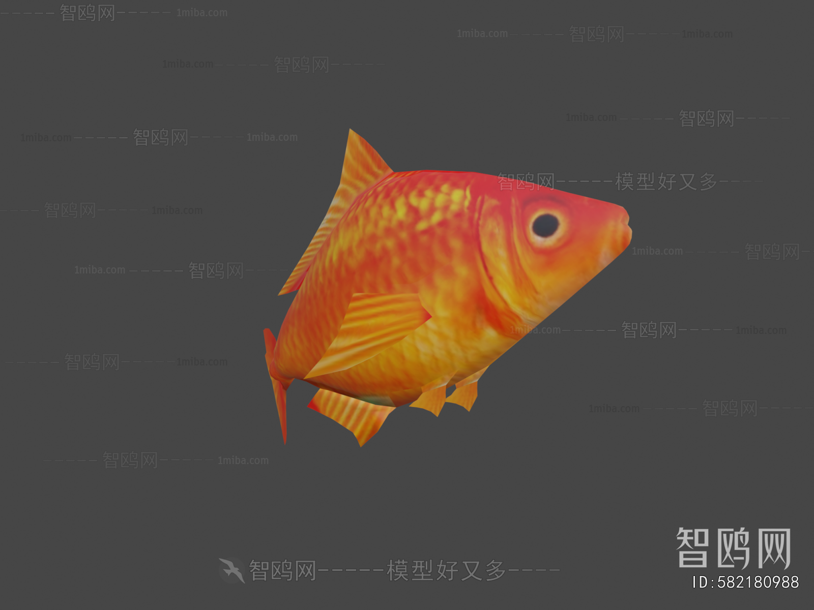 Modern Aquatic Animals