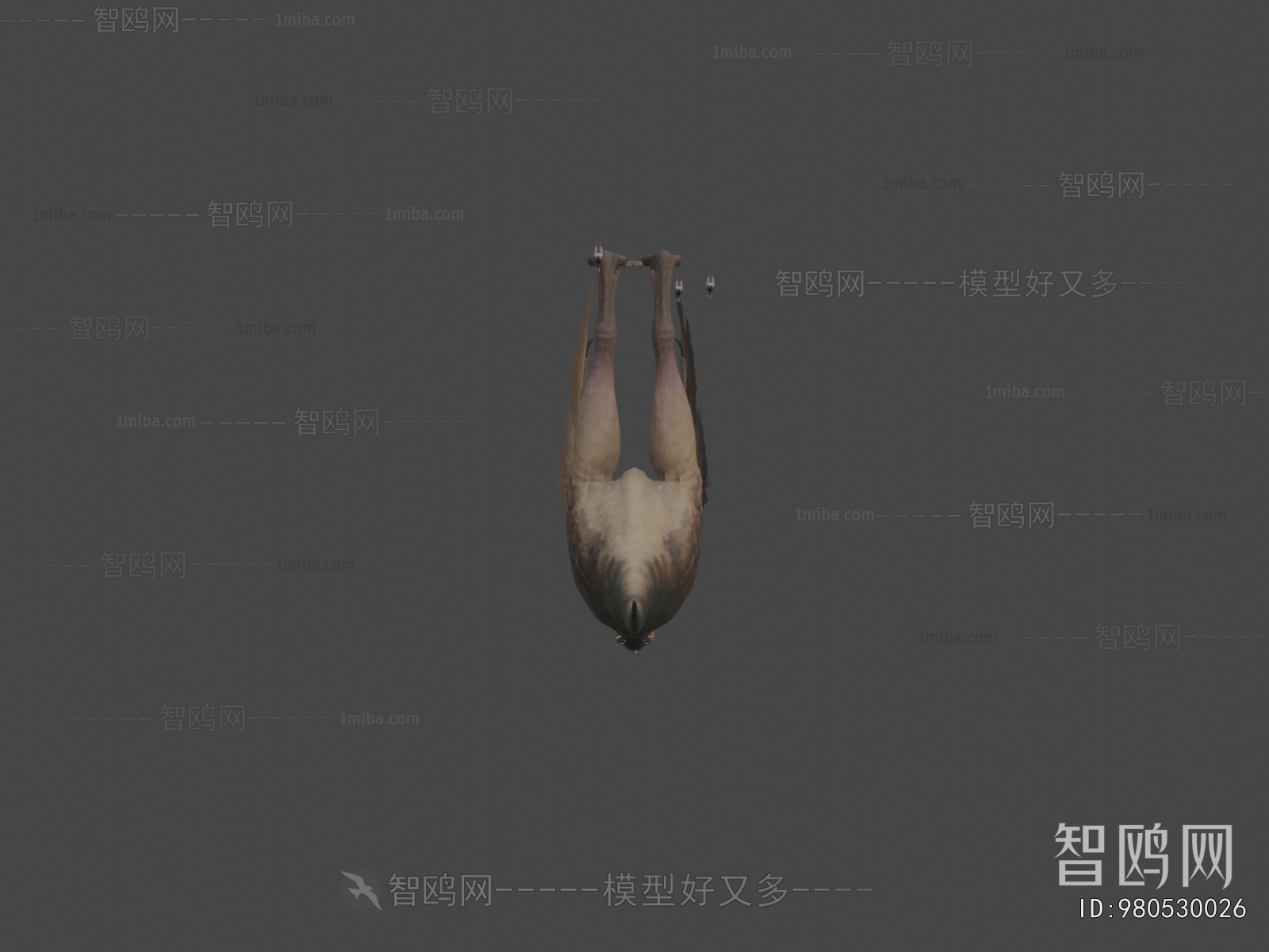 Modern Animal