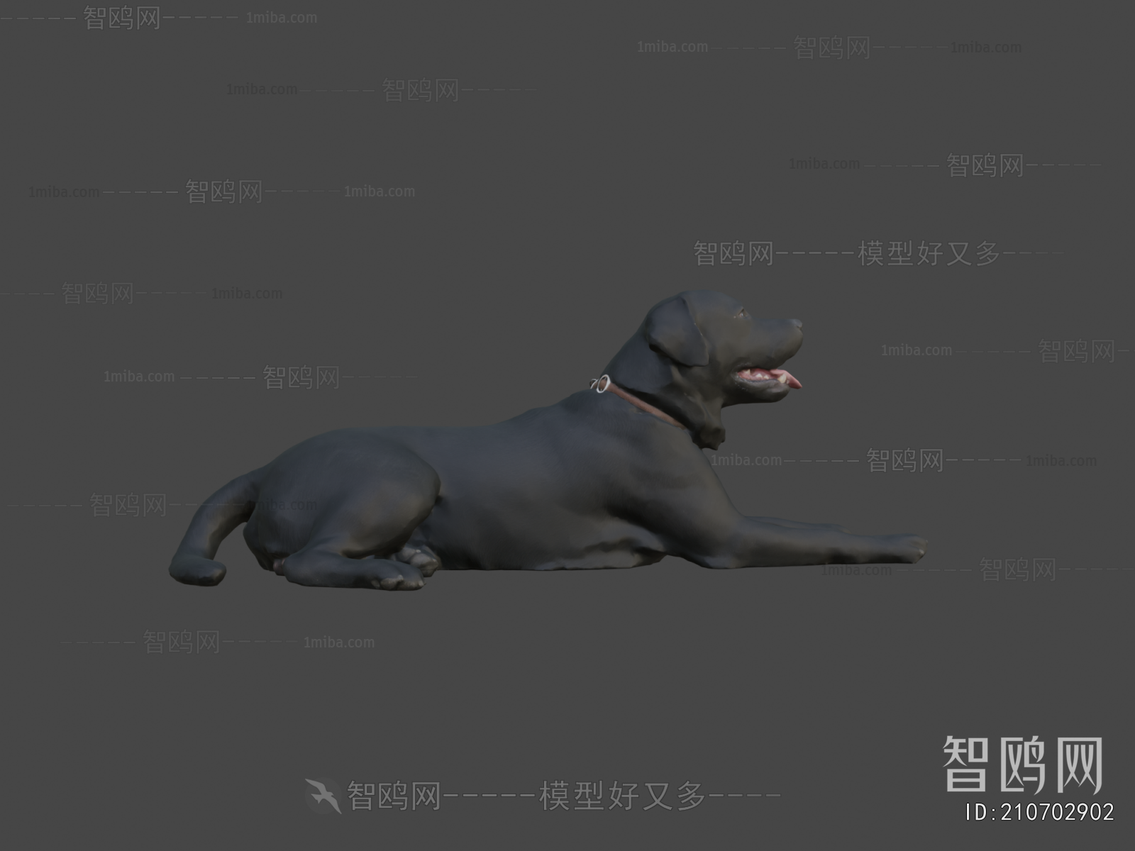 Modern Animal Dog