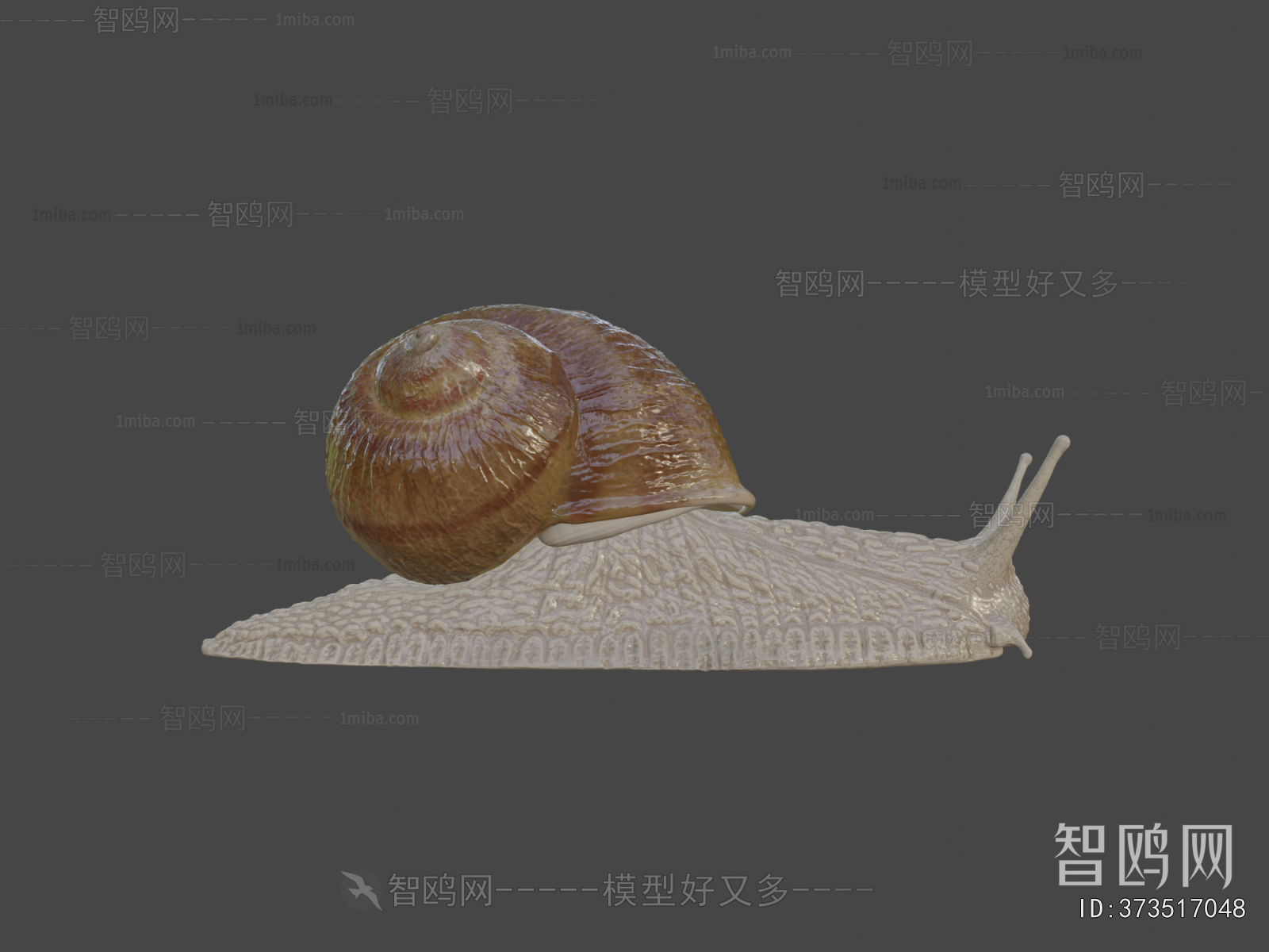 Modern Animal