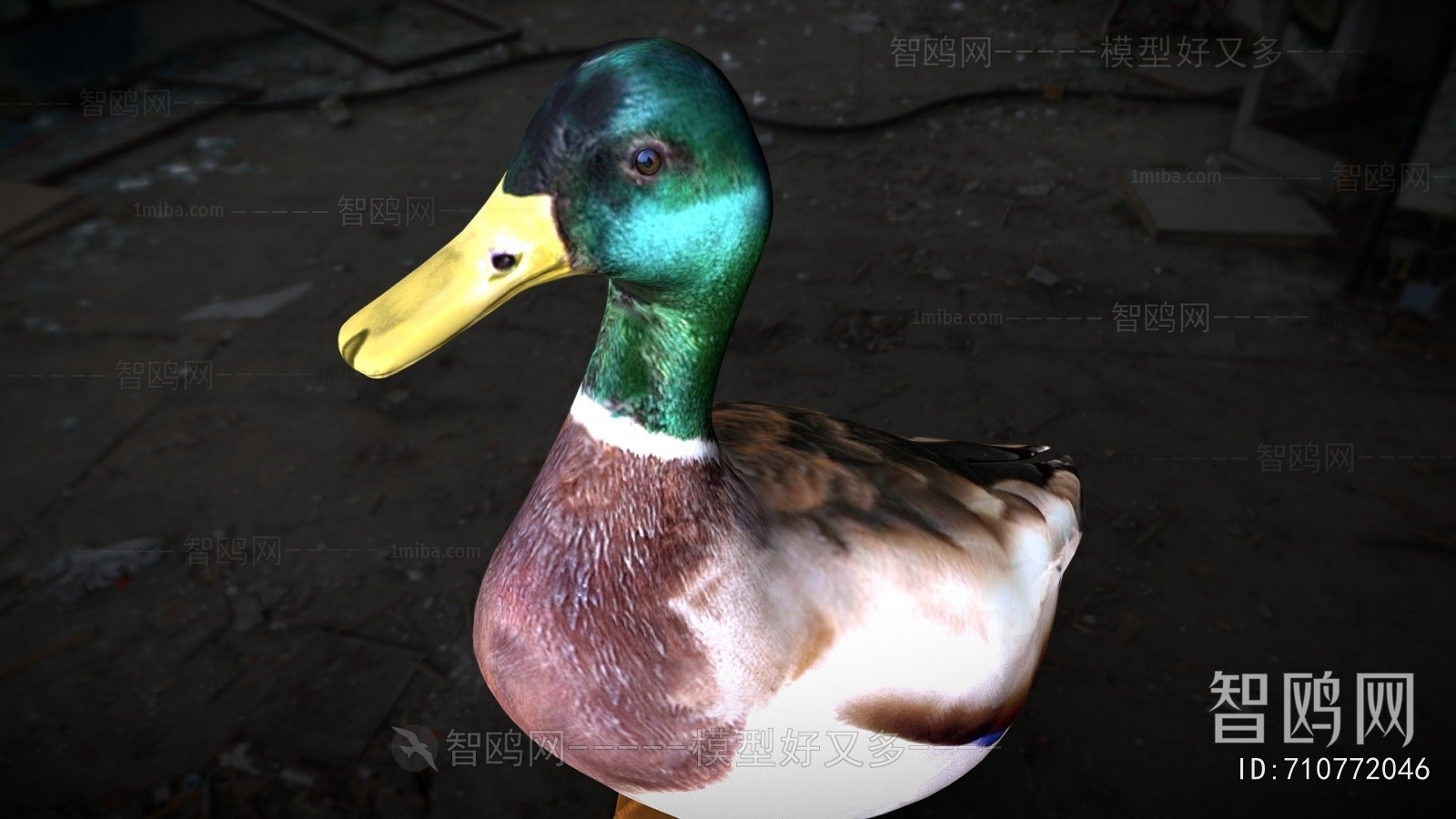 Modern Poultry Animal