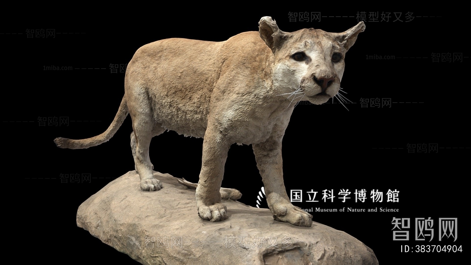 Modern Animal