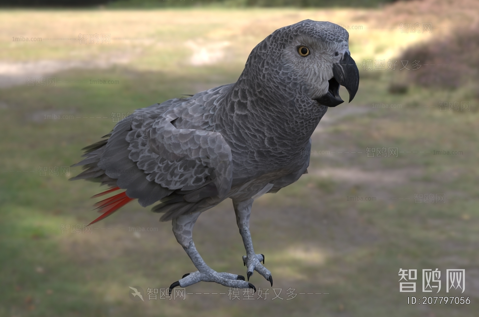 Modern Flying Animals