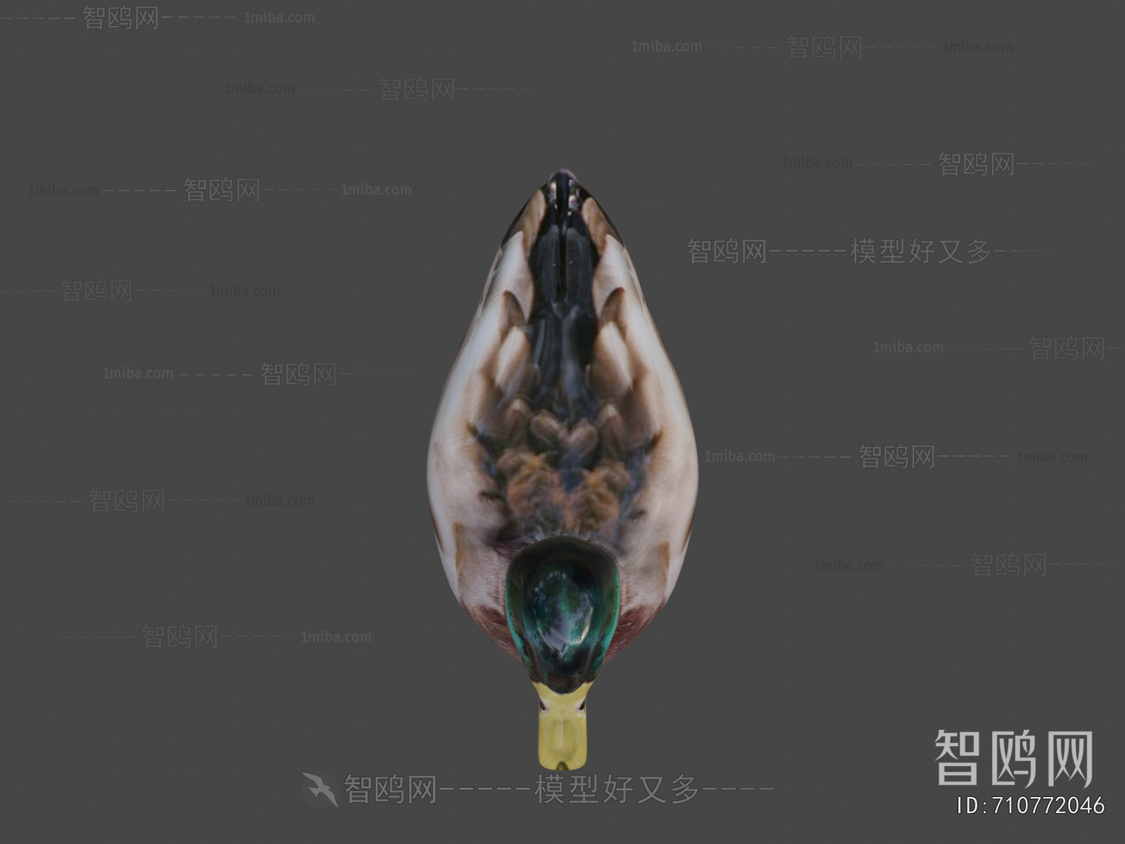 Modern Poultry Animal