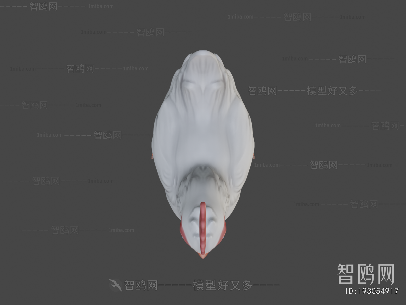 Modern Poultry Animal
