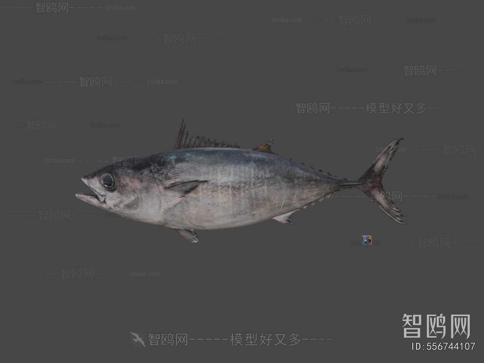 Modern Aquatic Animals