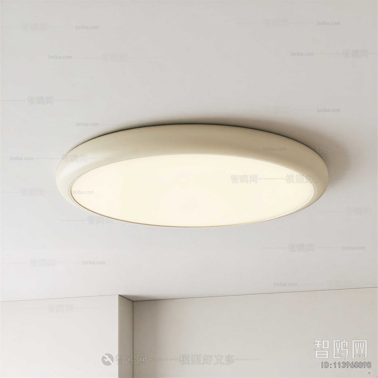Modern Ceiling Ceiling Lamp