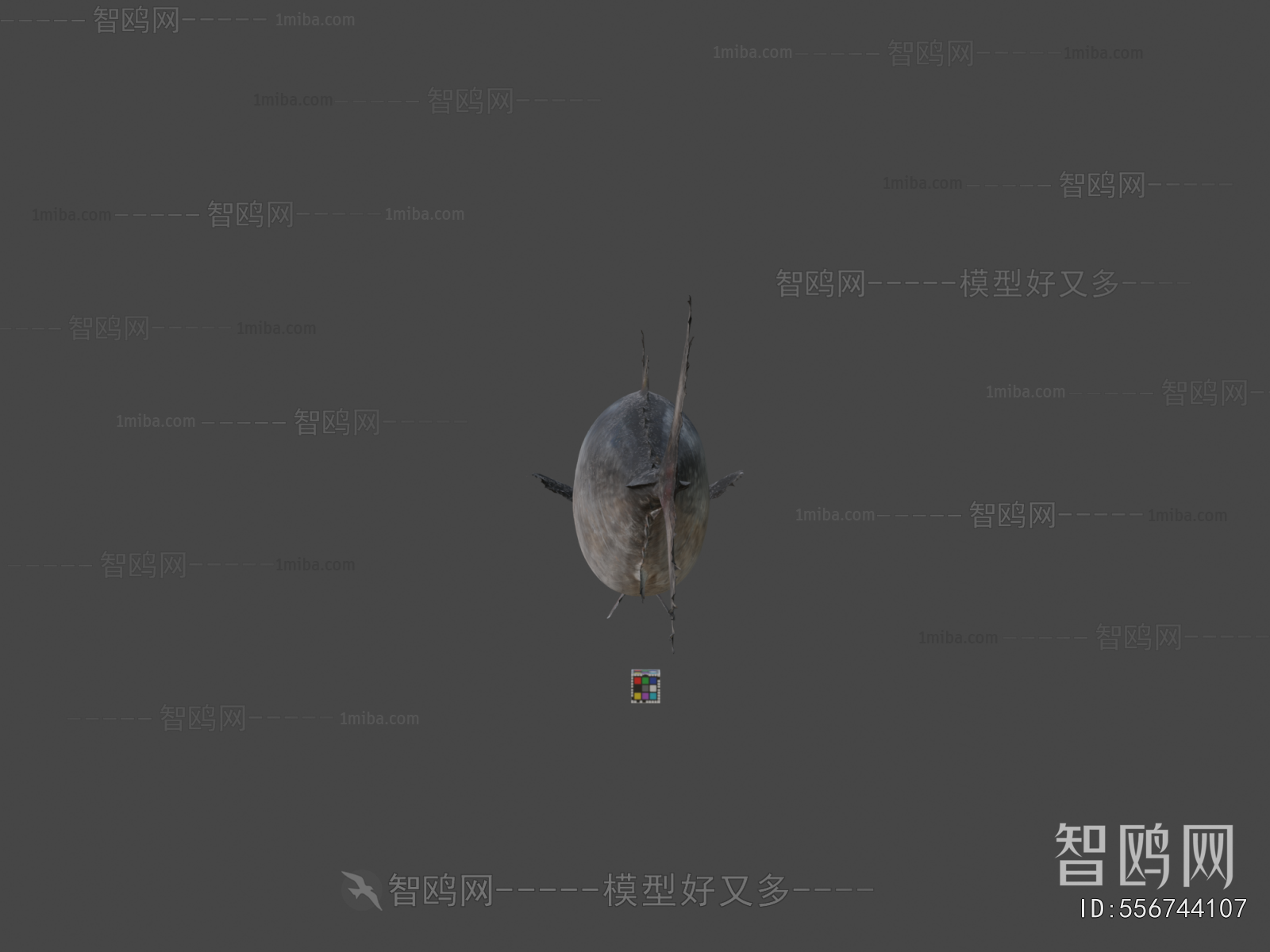 Modern Aquatic Animals