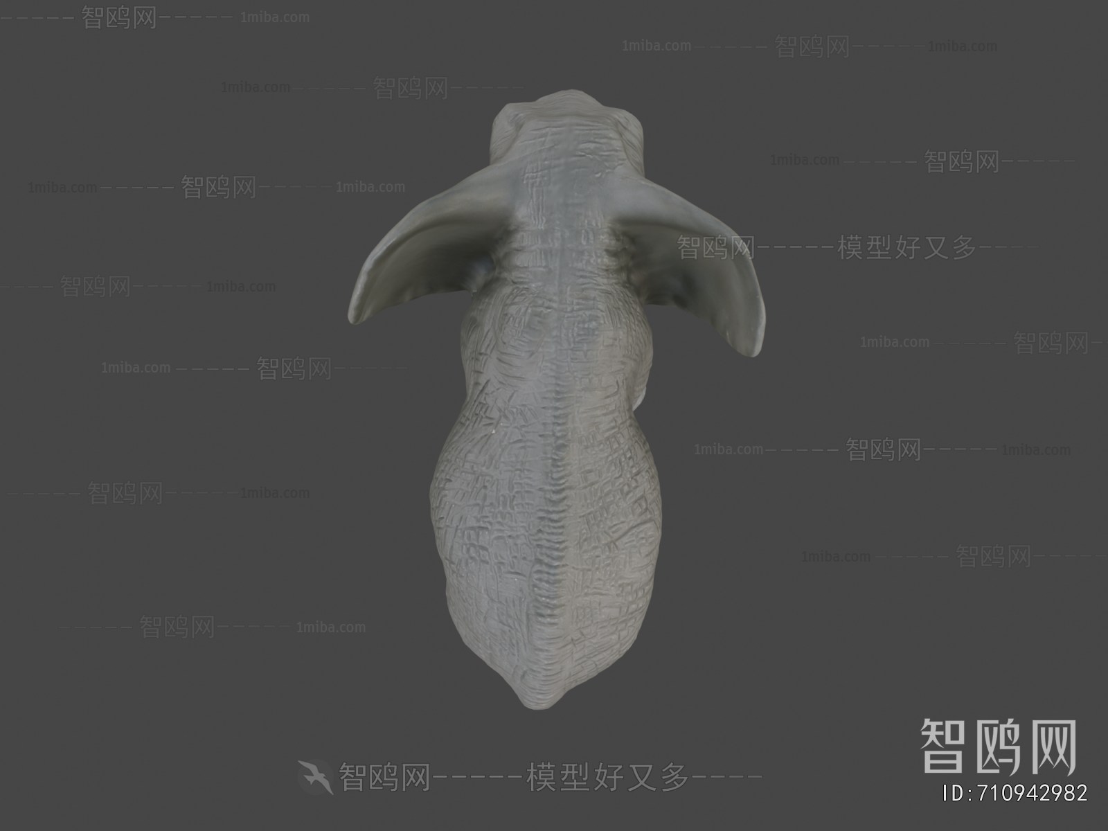 Modern Animal