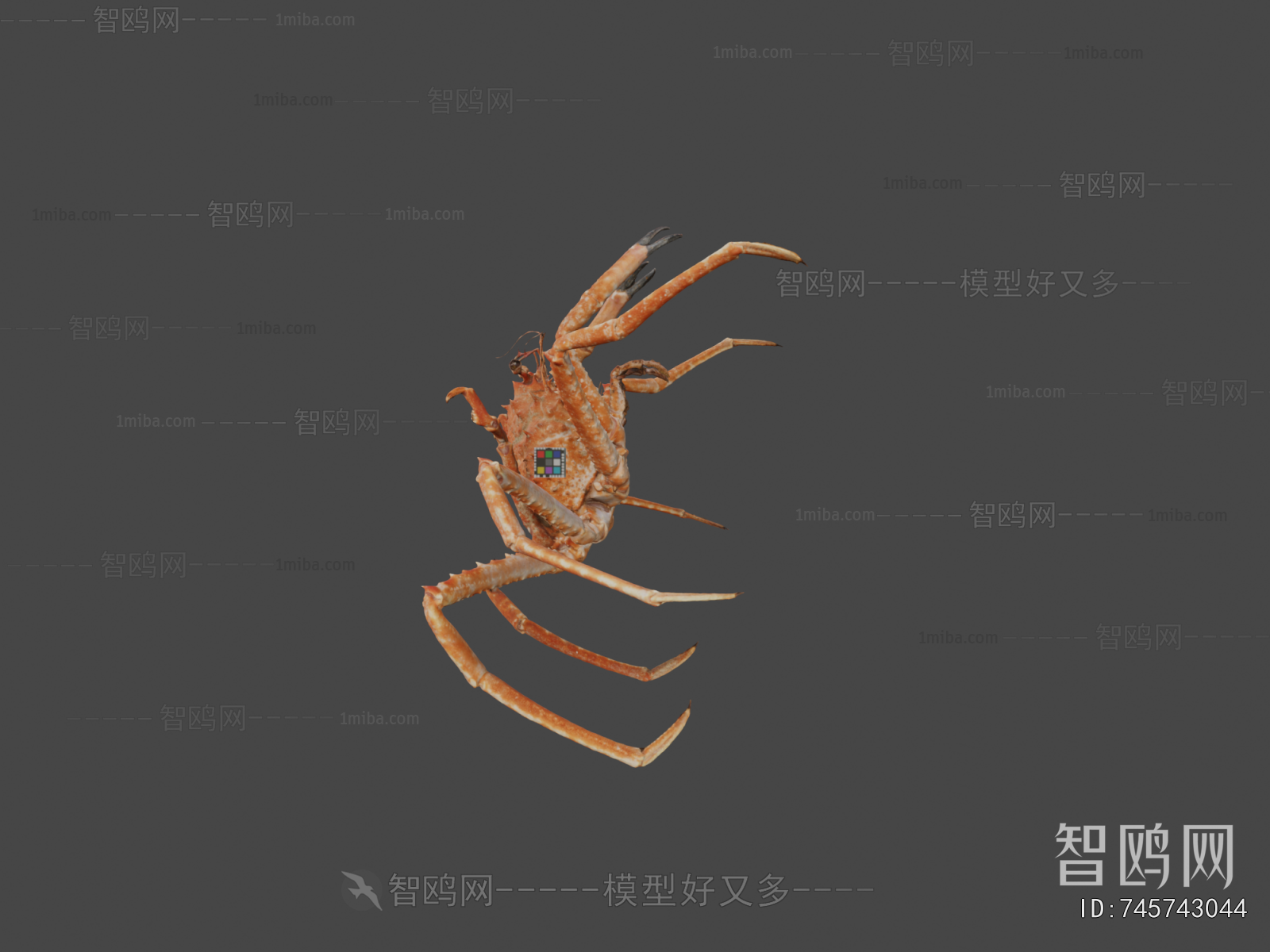Modern Aquatic Animals