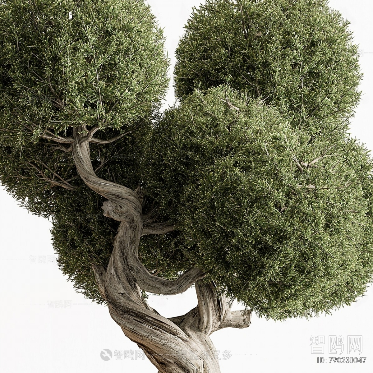 Modern Ground Green Plant Potted Plants