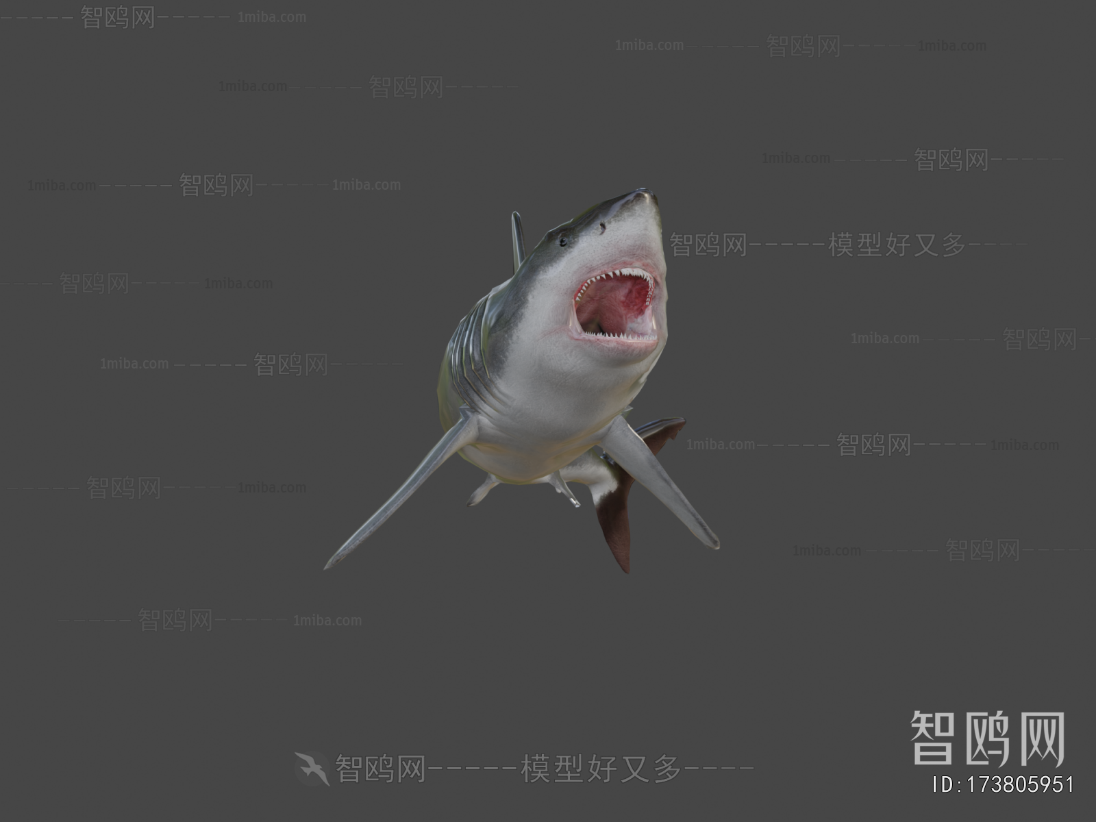 Modern Aquatic Animals