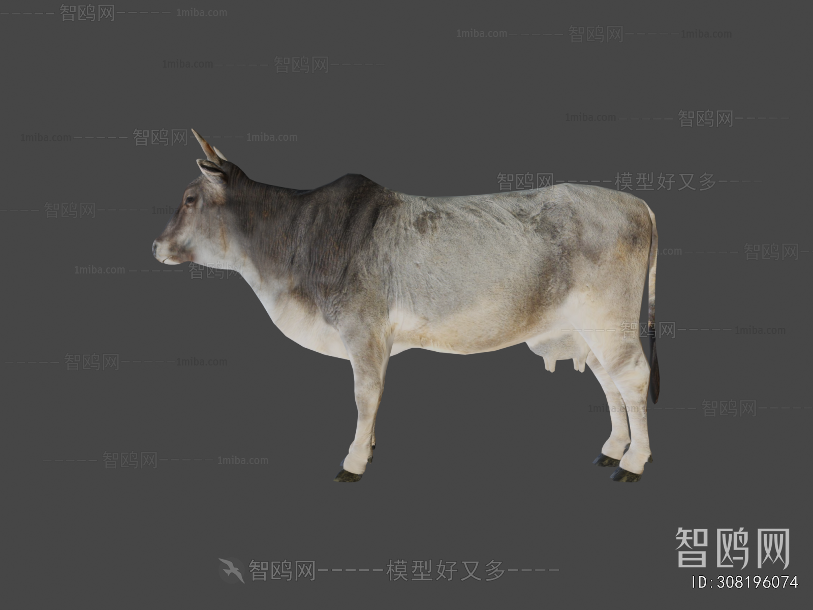 Modern Mammal