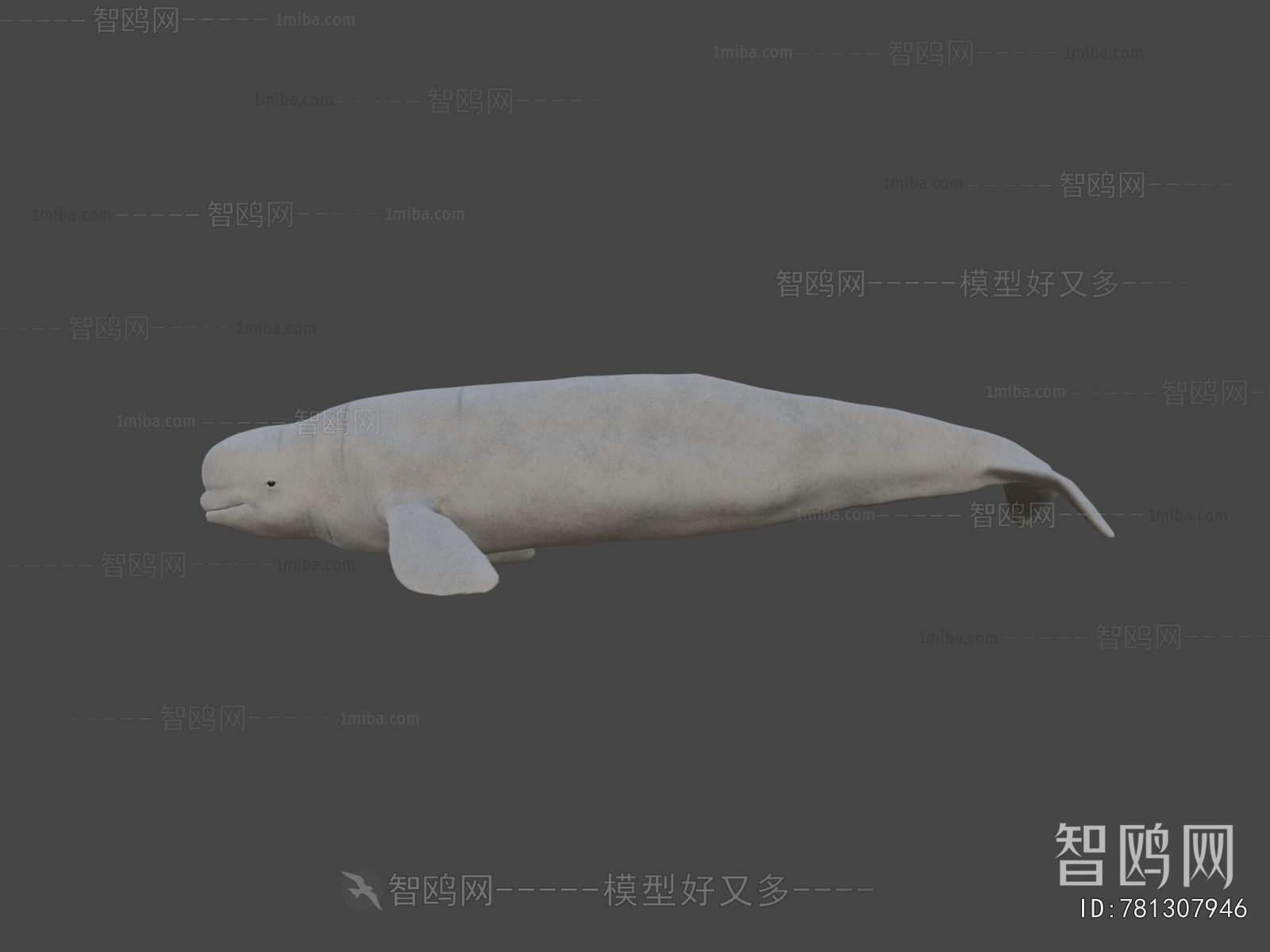 Modern Aquatic Animals