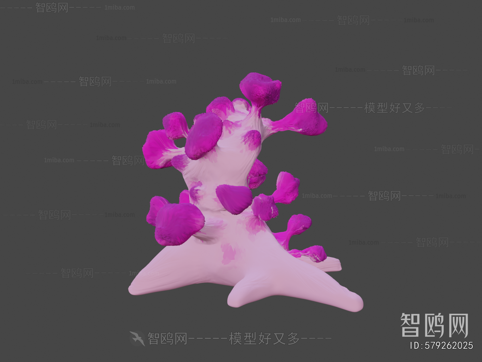 Modern Aquatic Animals