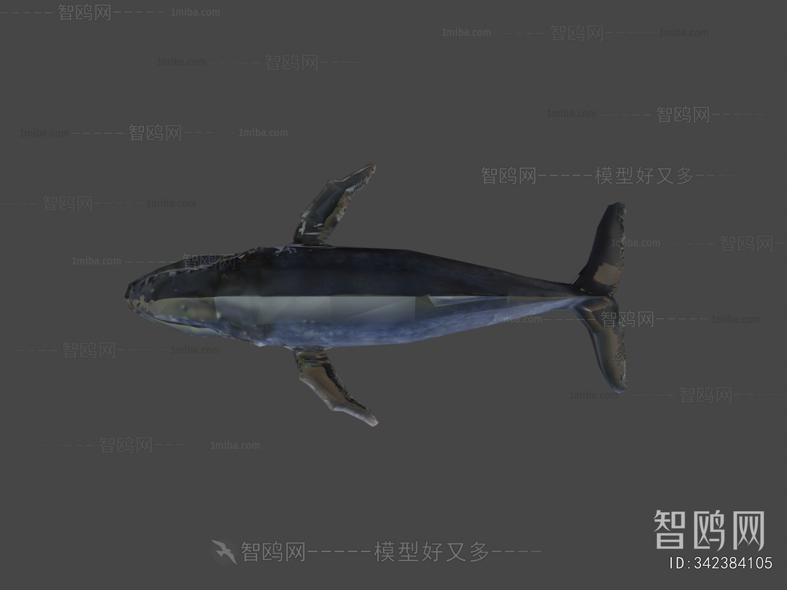 Modern Animal