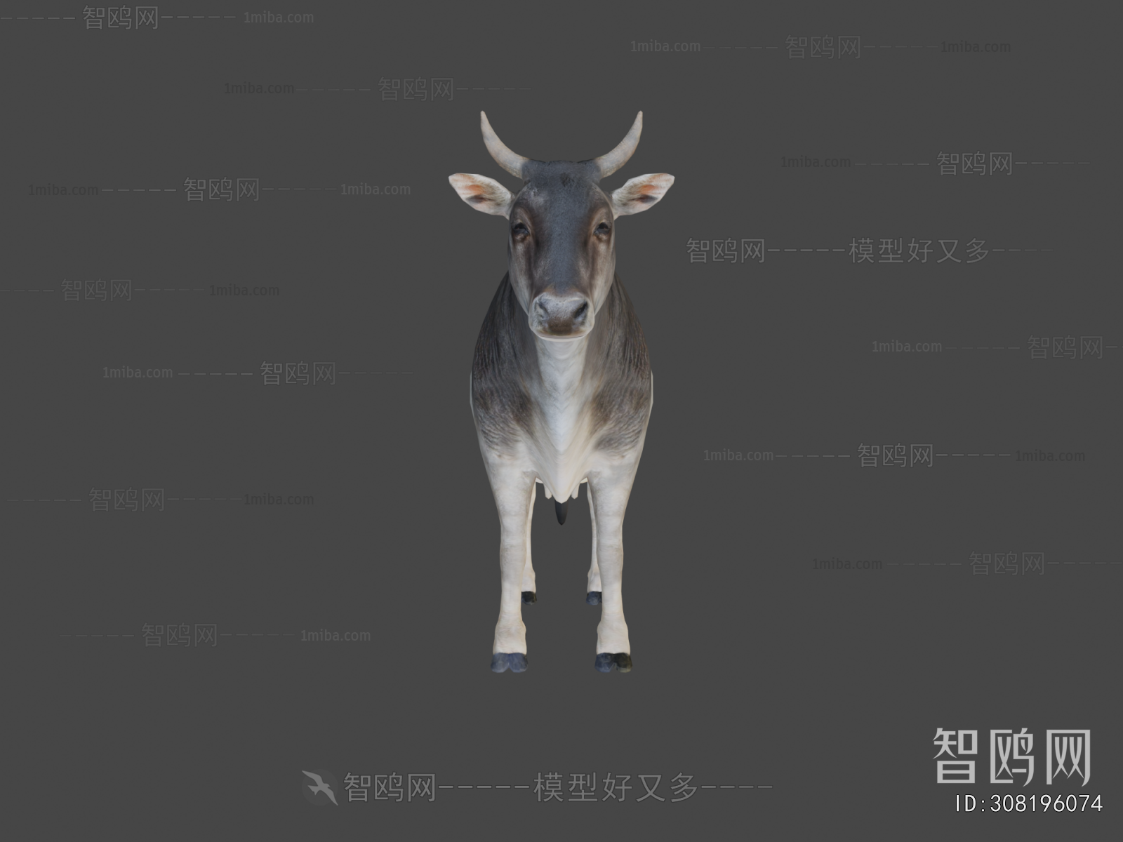 Modern Mammal