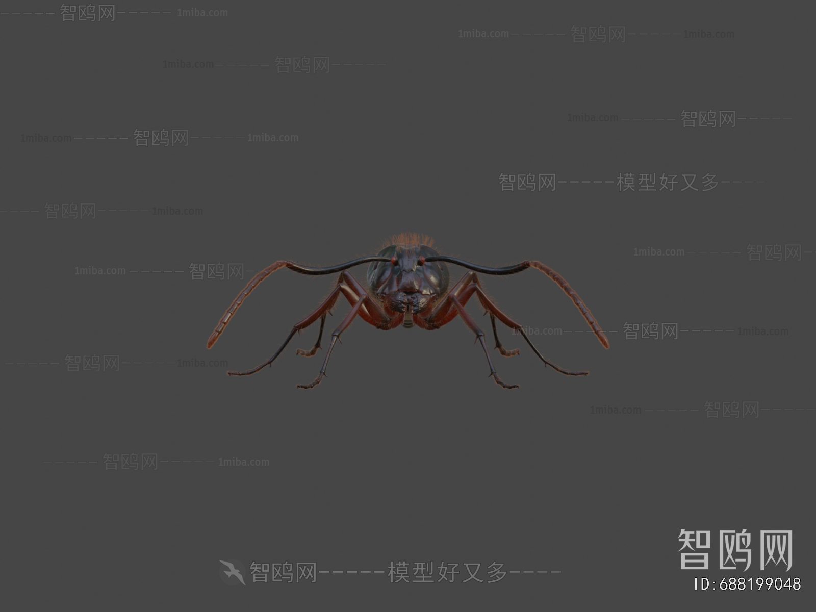 Modern Animal