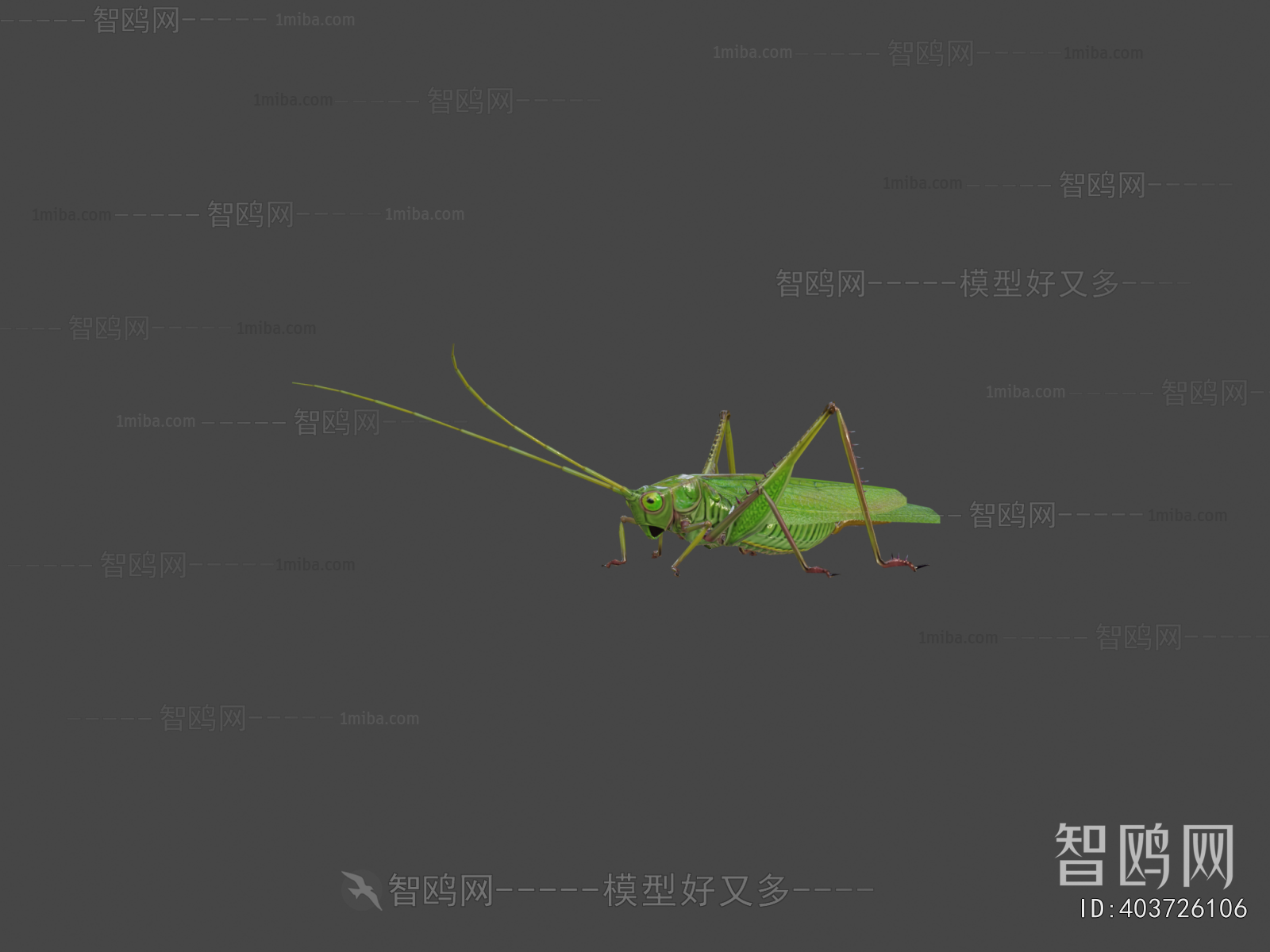 Modern Other Animals