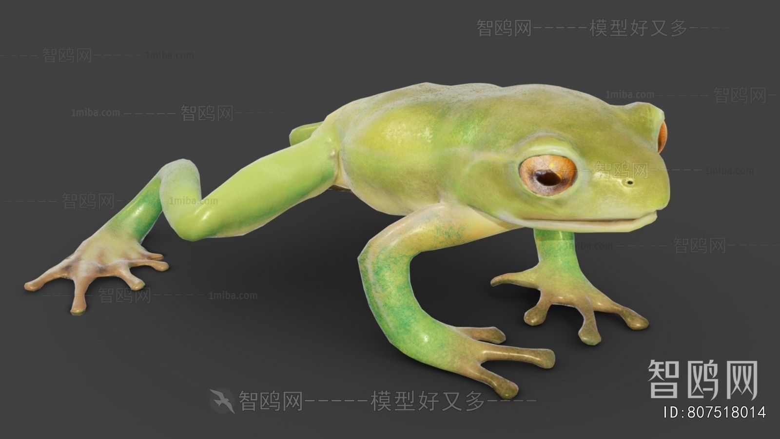 Modern Reptile