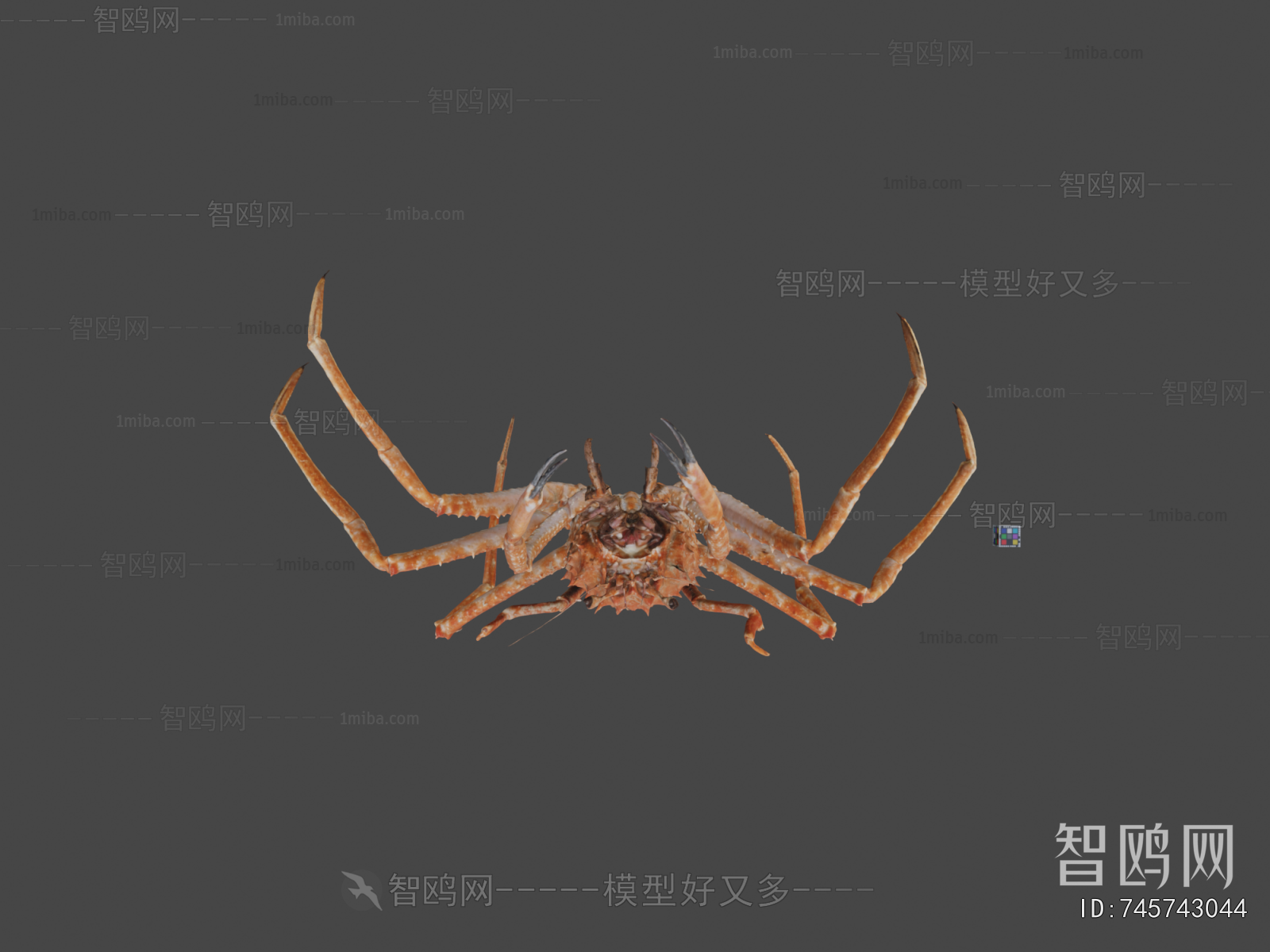 Modern Aquatic Animals