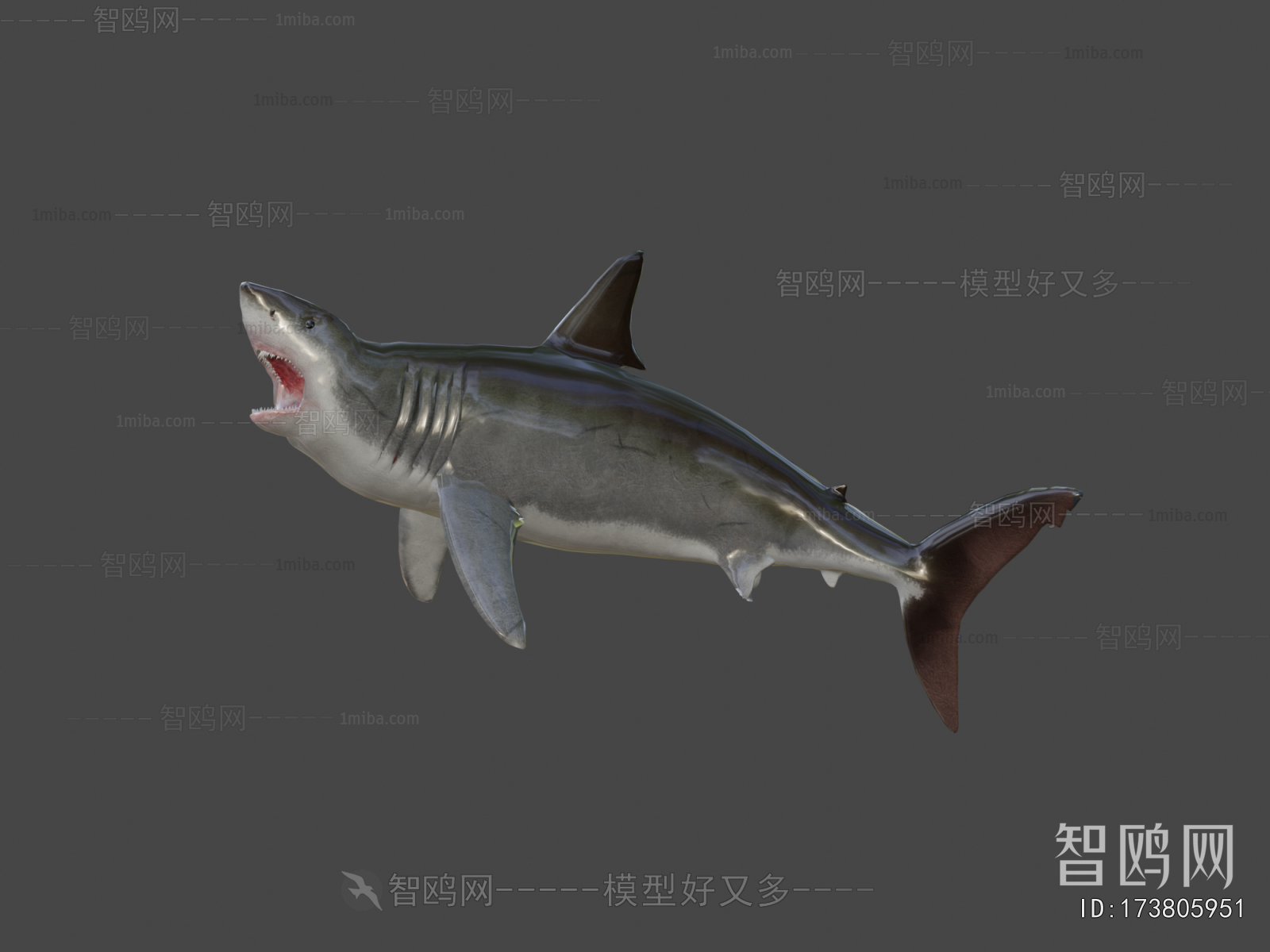Modern Aquatic Animals
