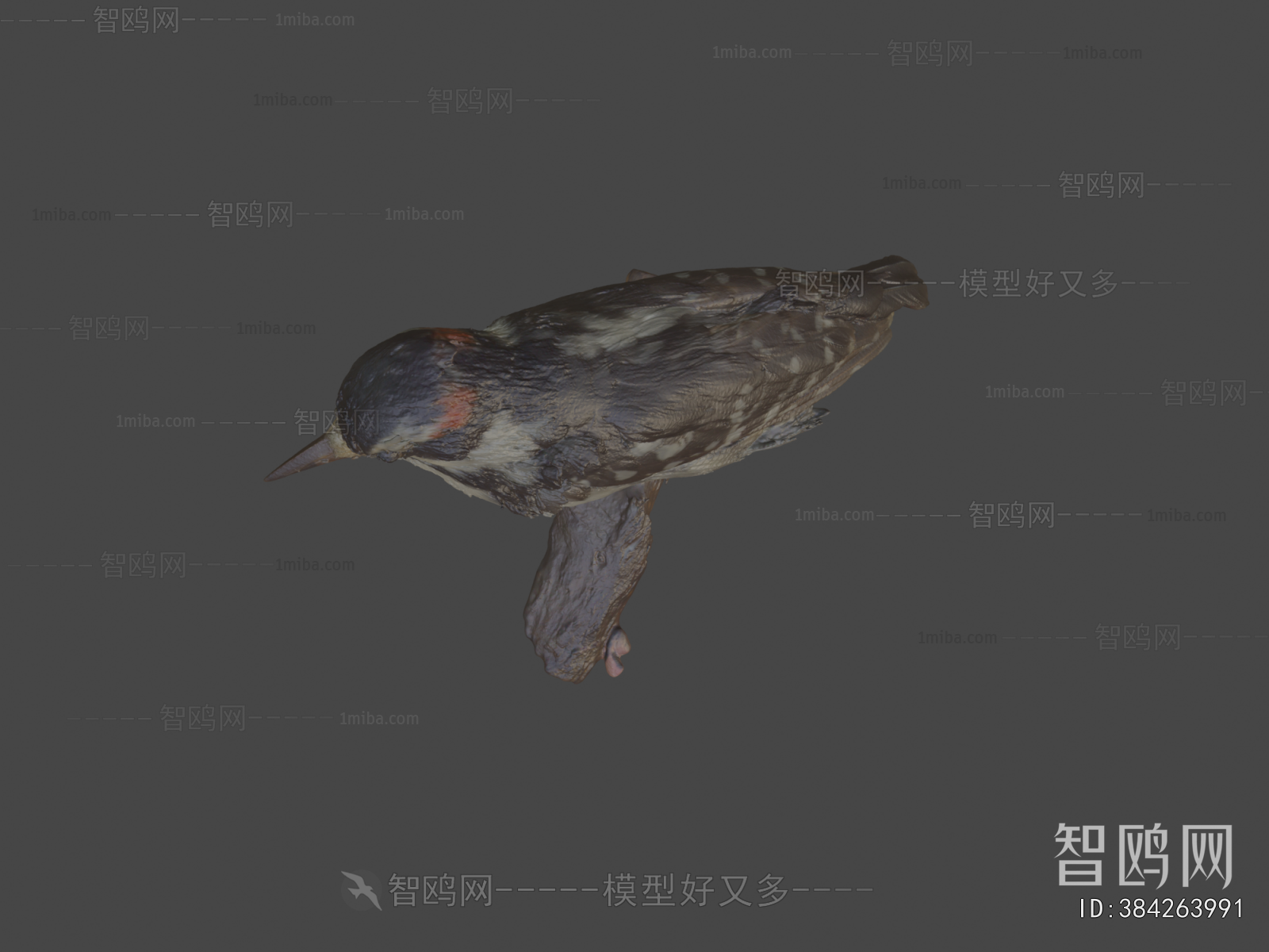 Modern Flying Animals