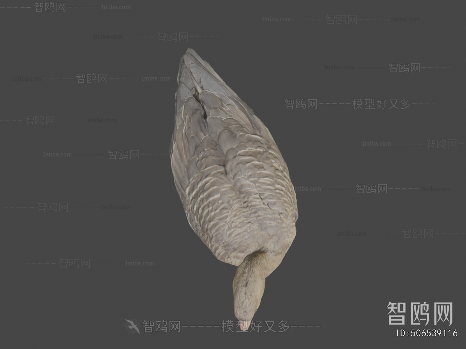 Modern Animal