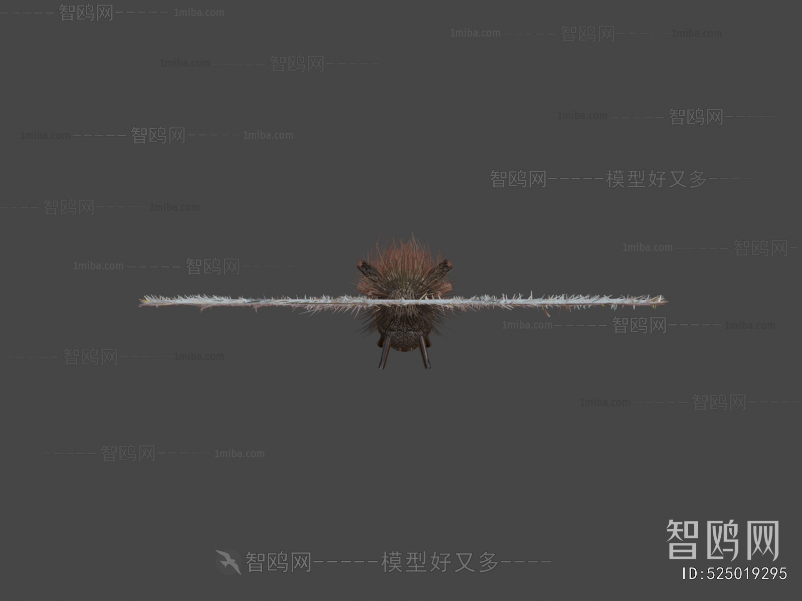 Modern Flying Animals